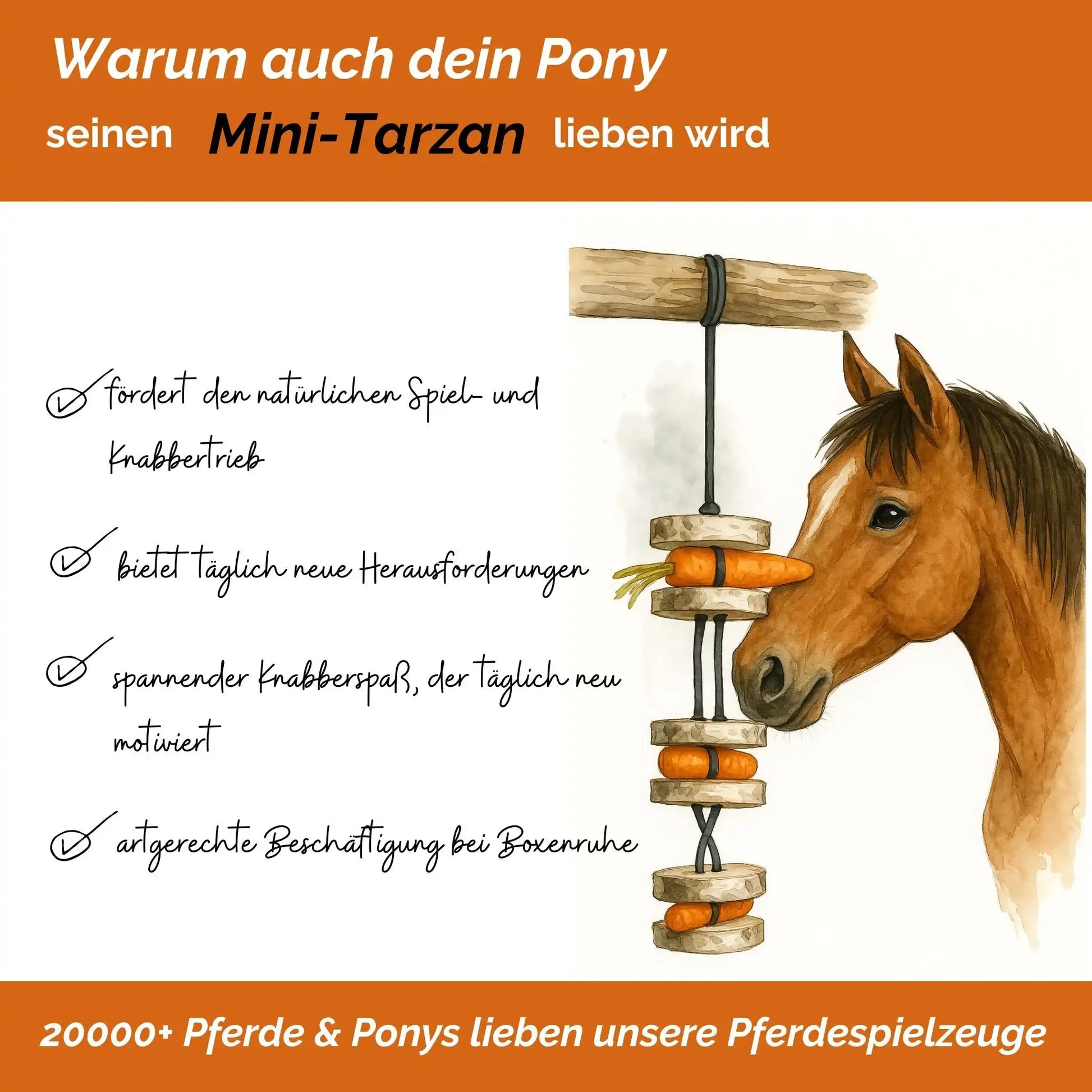 Pferdespielzeug Mini Tarzan Pferdebeschäftigung Aus Birkenholz Gegen Langeweile Wiederbefüllbar Mit Karotten Leckerlis by s`Queed