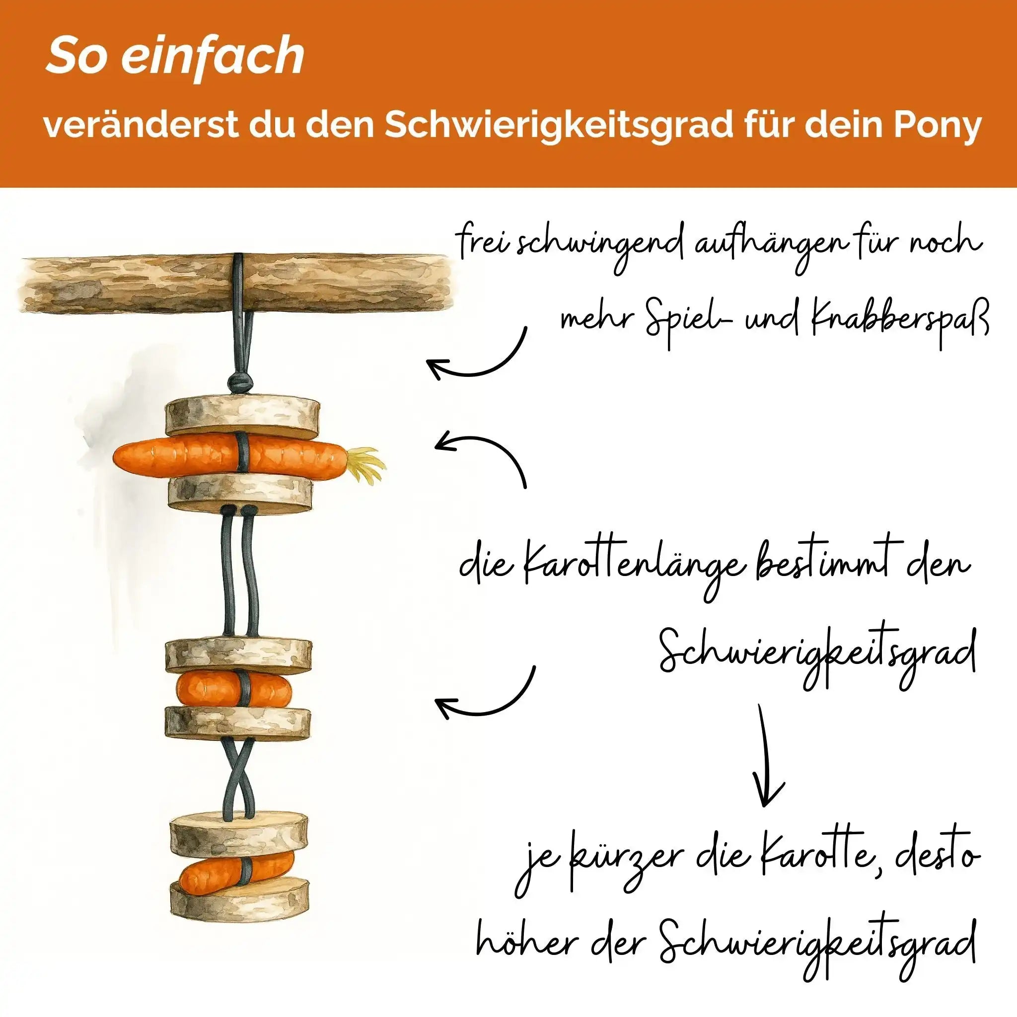 Pferdespielzeug Mini Tarzan Pferdebeschäftigung Aus Birkenholz Gegen Langeweile Wiederbefüllbar Mit Karotten Leckerlis by s`Queed