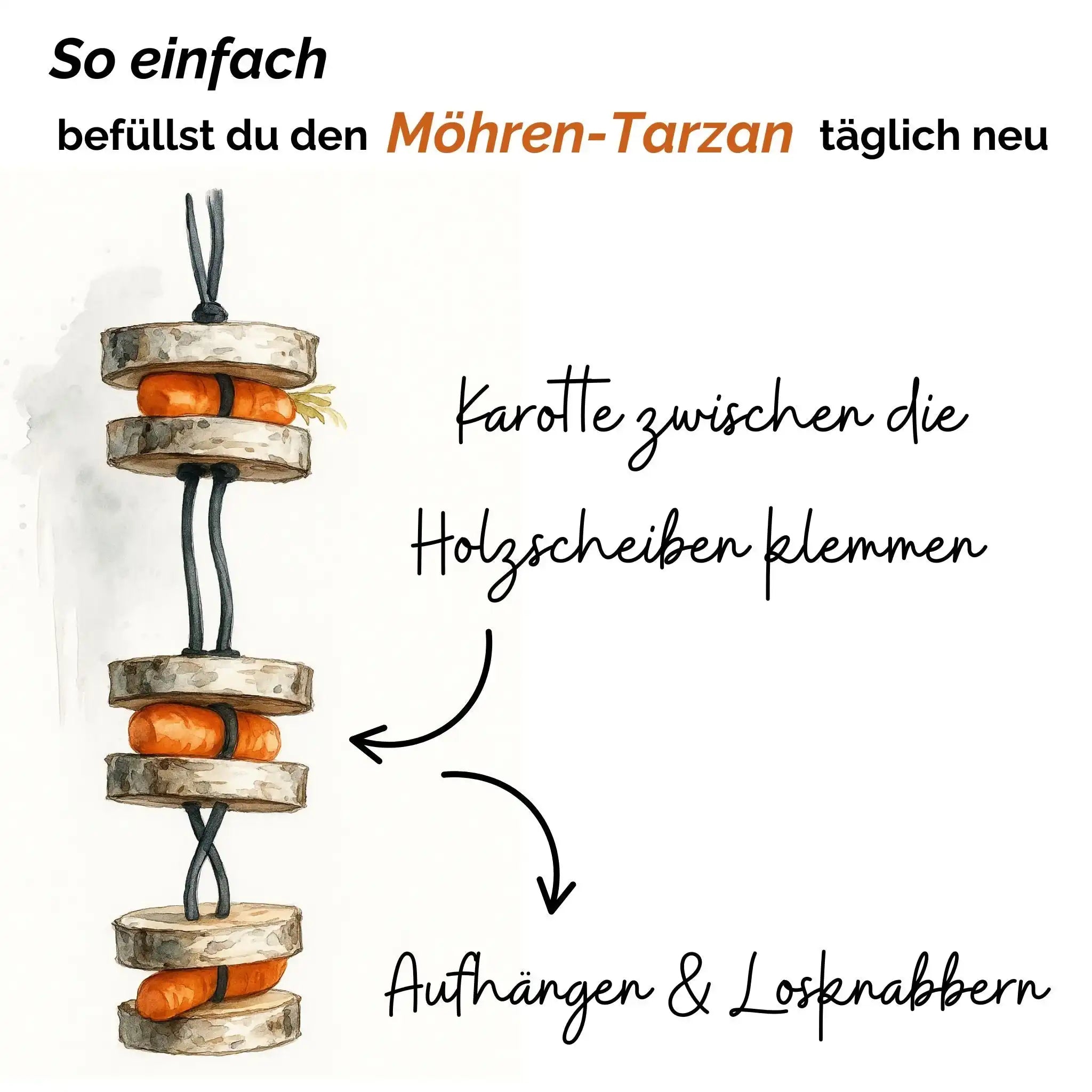 Pferdespielzeug Möhren Tarzan Birkenholz Wiederbefüllbar Natürliche Knabberspaß Pferdebeschäftigung by s`Queed