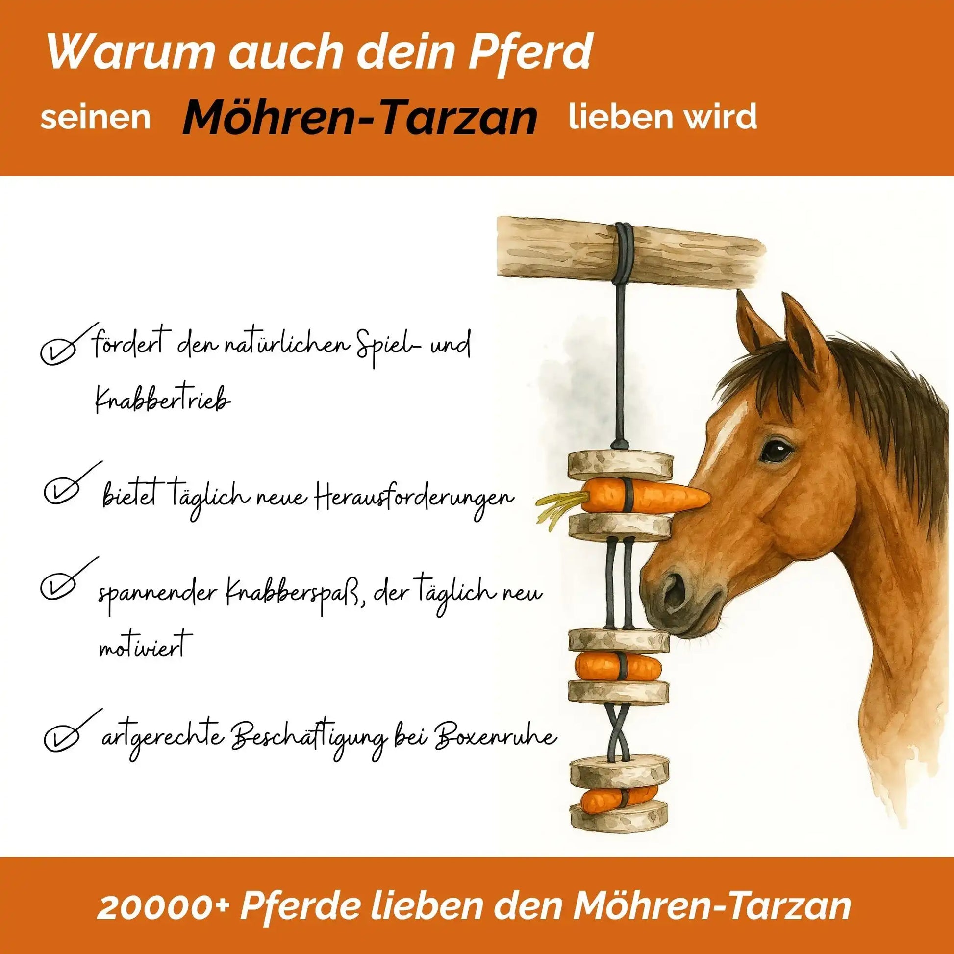 Pferdespielzeug Möhren Tarzan Birkenholz Wiederbefüllbar Natürliche Knabberspaß Pferdebeschäftigung by s`Queed