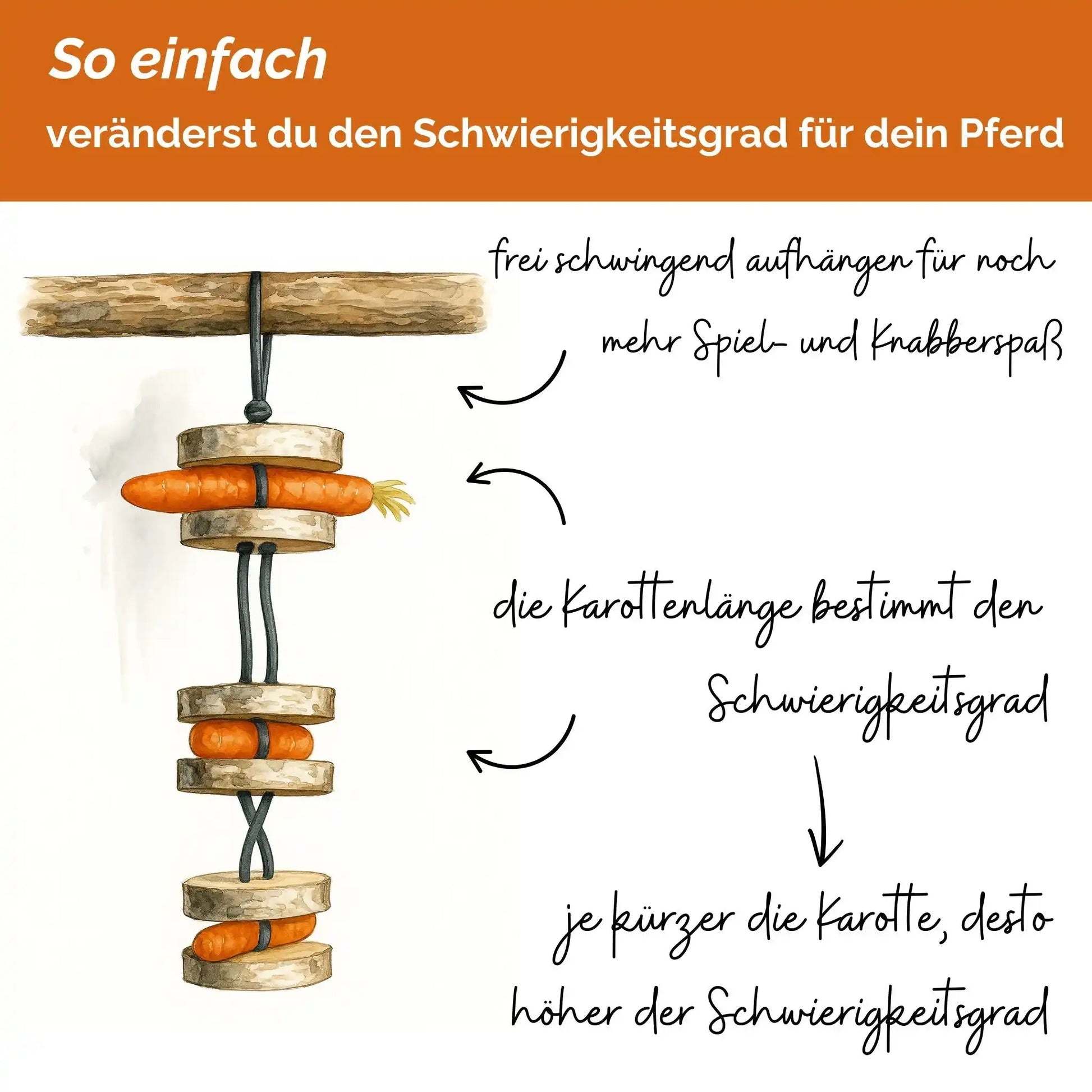 Pferdespielzeug Möhren Tarzan Birkenholz Wiederbefüllbar Natürliche Knabberspaß Pferdebeschäftigung by s`Queed