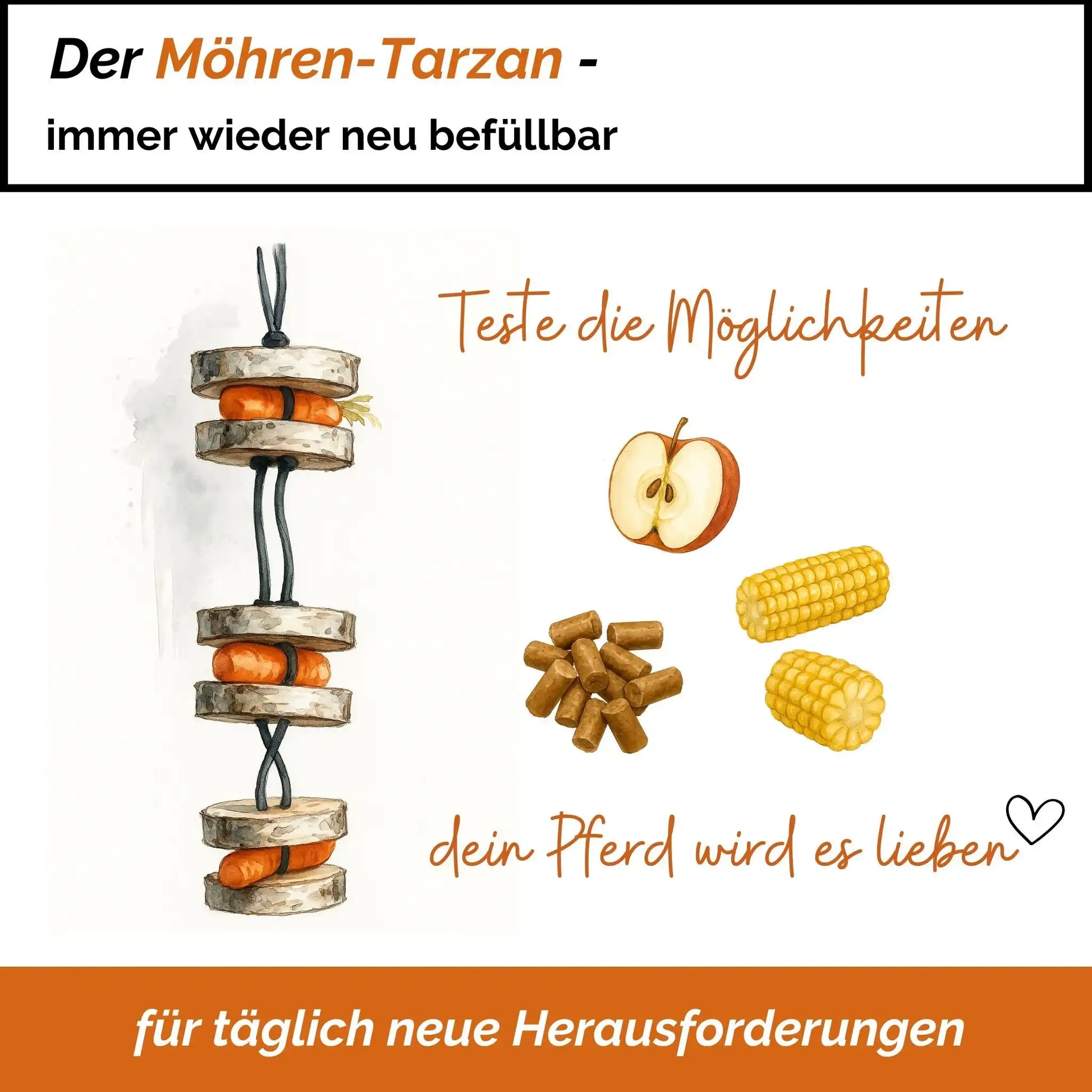 Pferdespielzeug Möhren Tarzan Birkenholz Wiederbefüllbar Natürliche Knabberspaß Pferdebeschäftigung by s`Queed