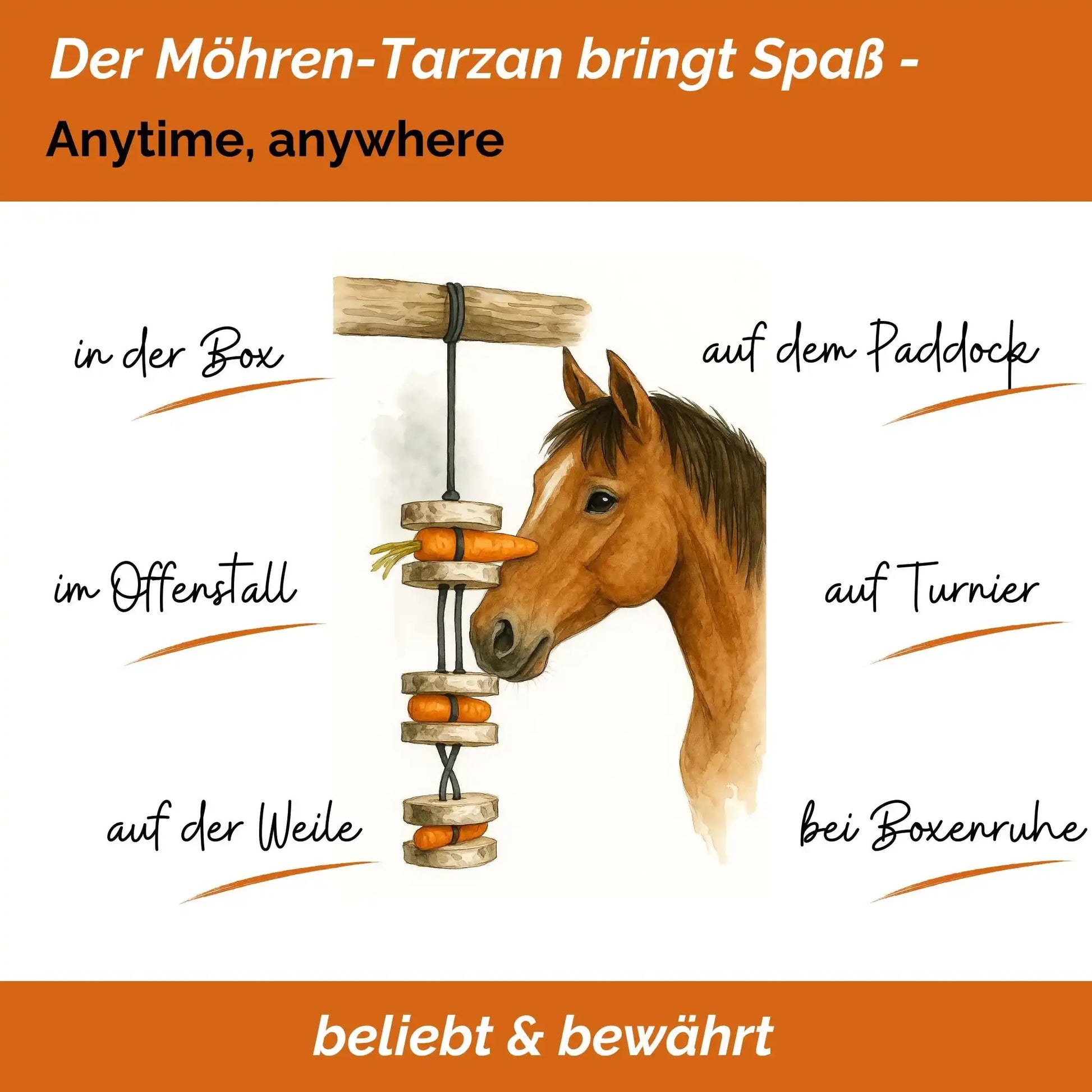 Pferdespielzeug Möhren Tarzan Birkenholz Wiederbefüllbar Natürliche Knabberspaß Pferdebeschäftigung by s`Queed