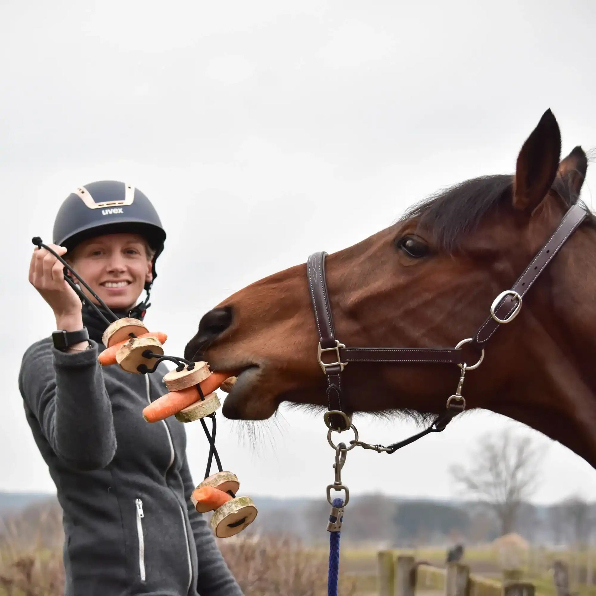 Pferdespielzeug Möhren Tarzan Birkenholz Wiederbefüllbar Natürliche Knabberspaß Pferdebeschäftigung by s`Queed