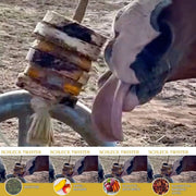 Schleck Twister Scheiben Für Pferdespielzeuge Langlebiges Beschäftigungsspiel Mit Knabber Twister Halterung by s`Queed