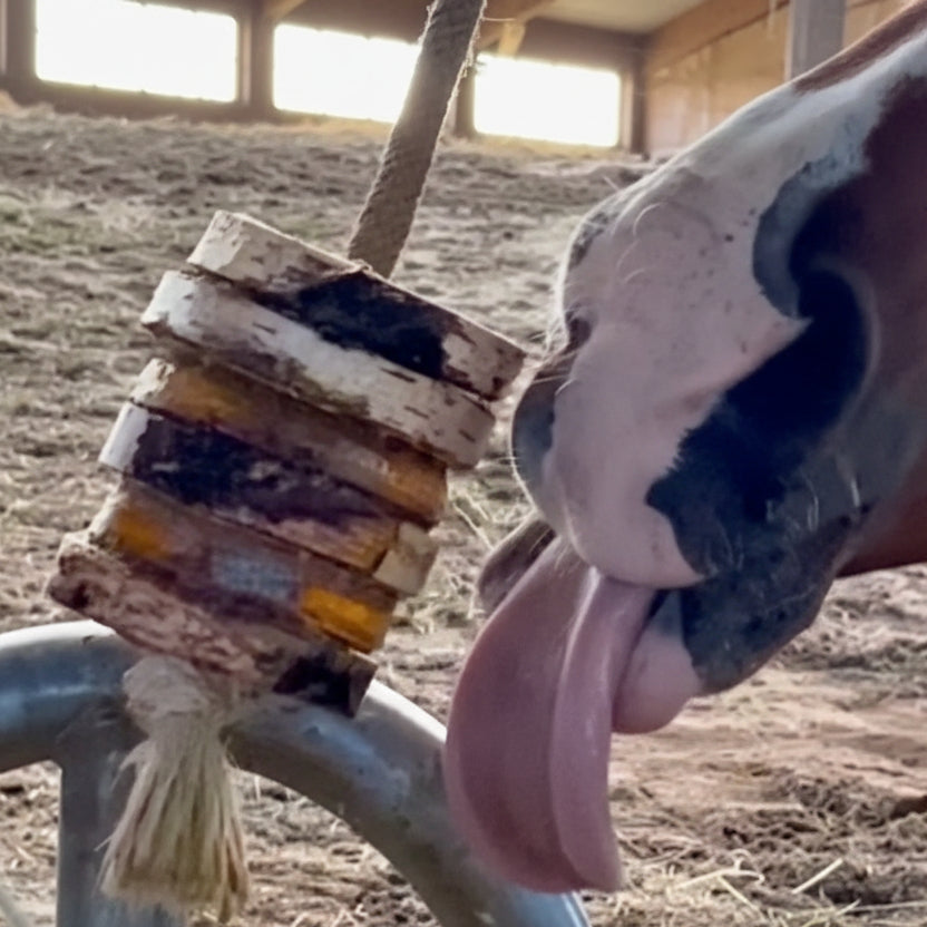 Schleck Twister Scheiben Für Pferdespielzeuge Langlebiges Beschäftigungsspiel Mit Knabber Twister Halterung by s`Queed