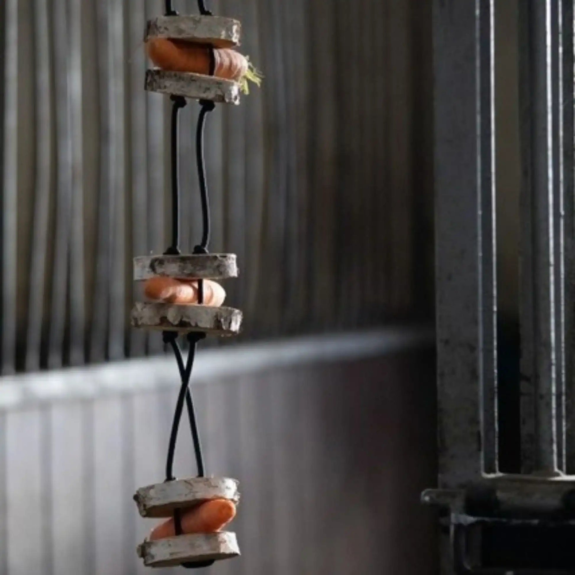 Pferdespielzeug Möhren Tarzan Birkenholz Wiederbefüllbar Natürliche Knabberspaß Pferdebeschäftigung by s`Queed