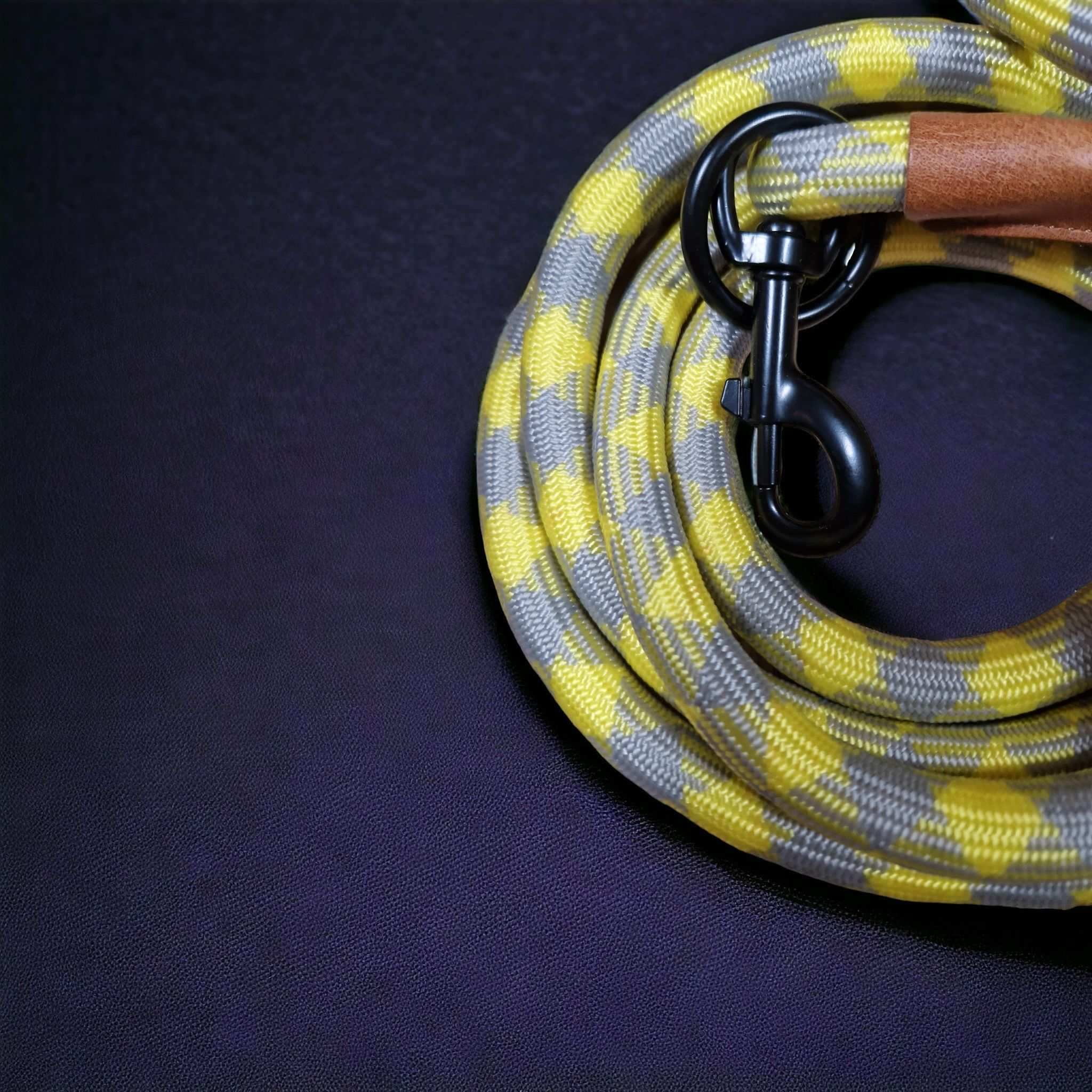 Hundeleine grau gelb Angebot mit gratis Tauseil zum spielen und zerren by Benny Burton