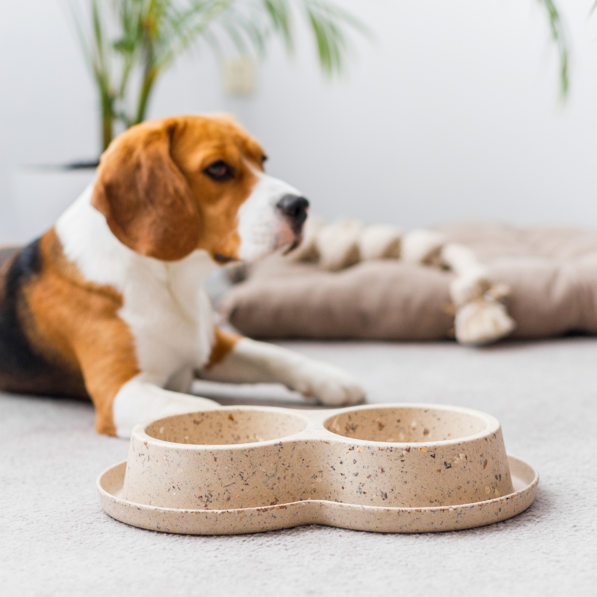 Doppelfressnapf aus nachhaltigem Bambus