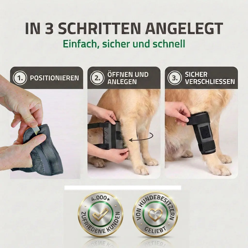 Stabilisierungs Handgelenkbandage für Hunde