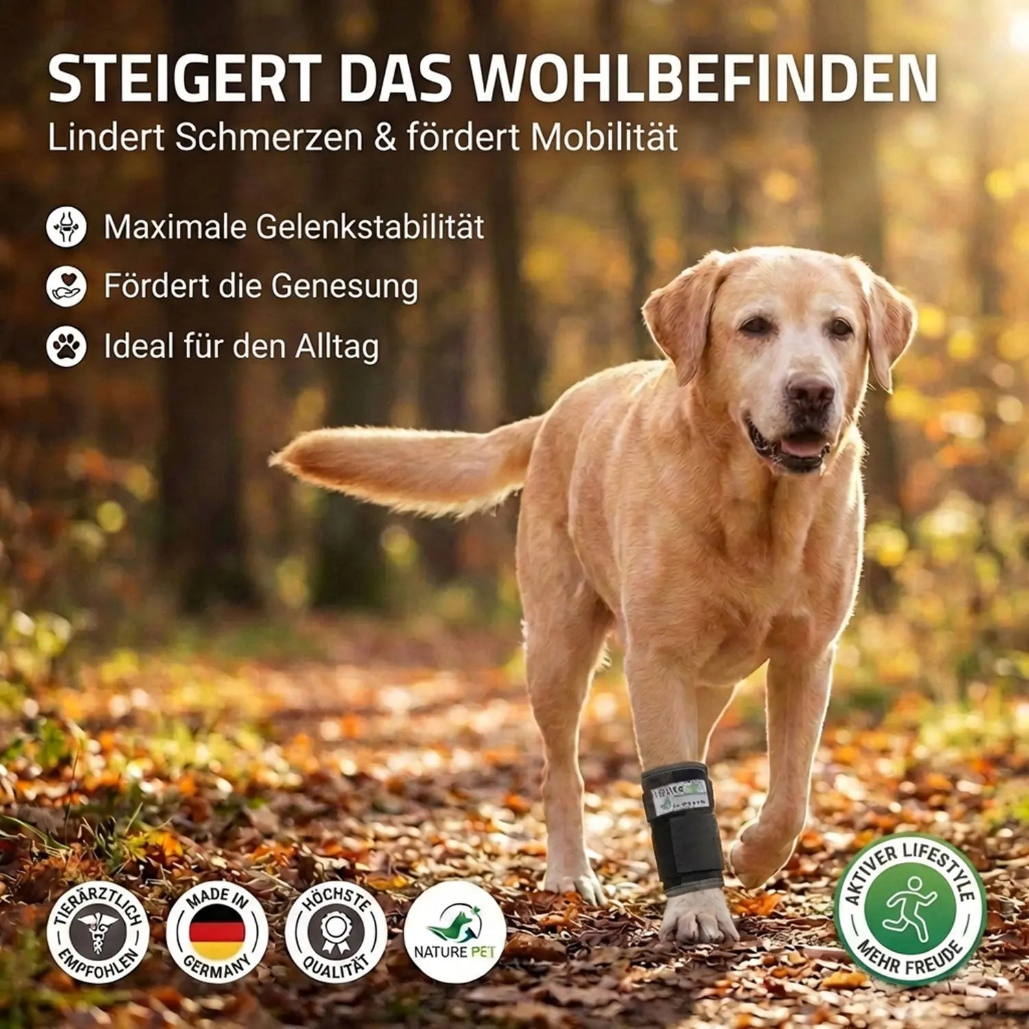 Stabilisierungs Handgelenkbandage für Hunde