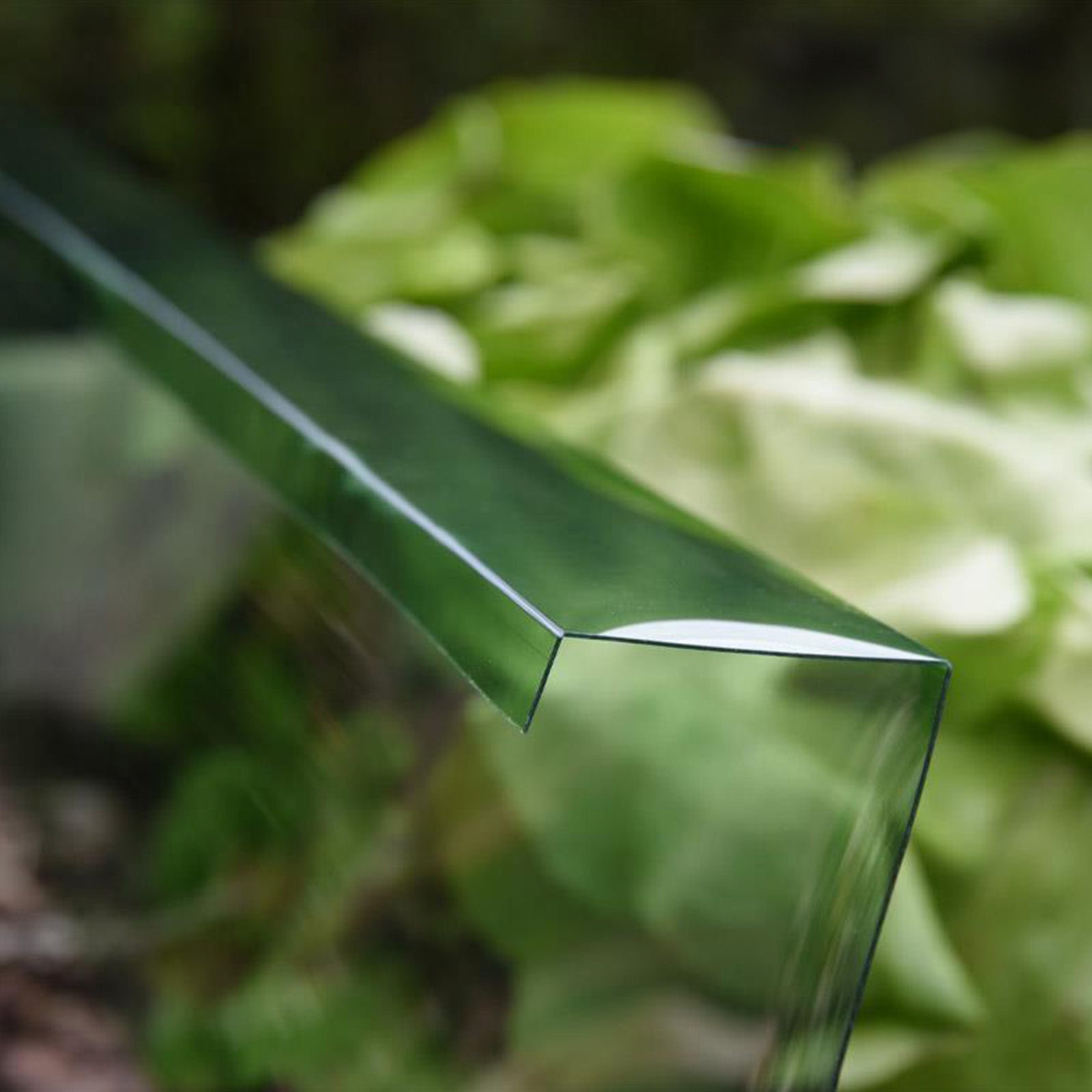 Premium Schneckenbarriere - 0,2x8 m