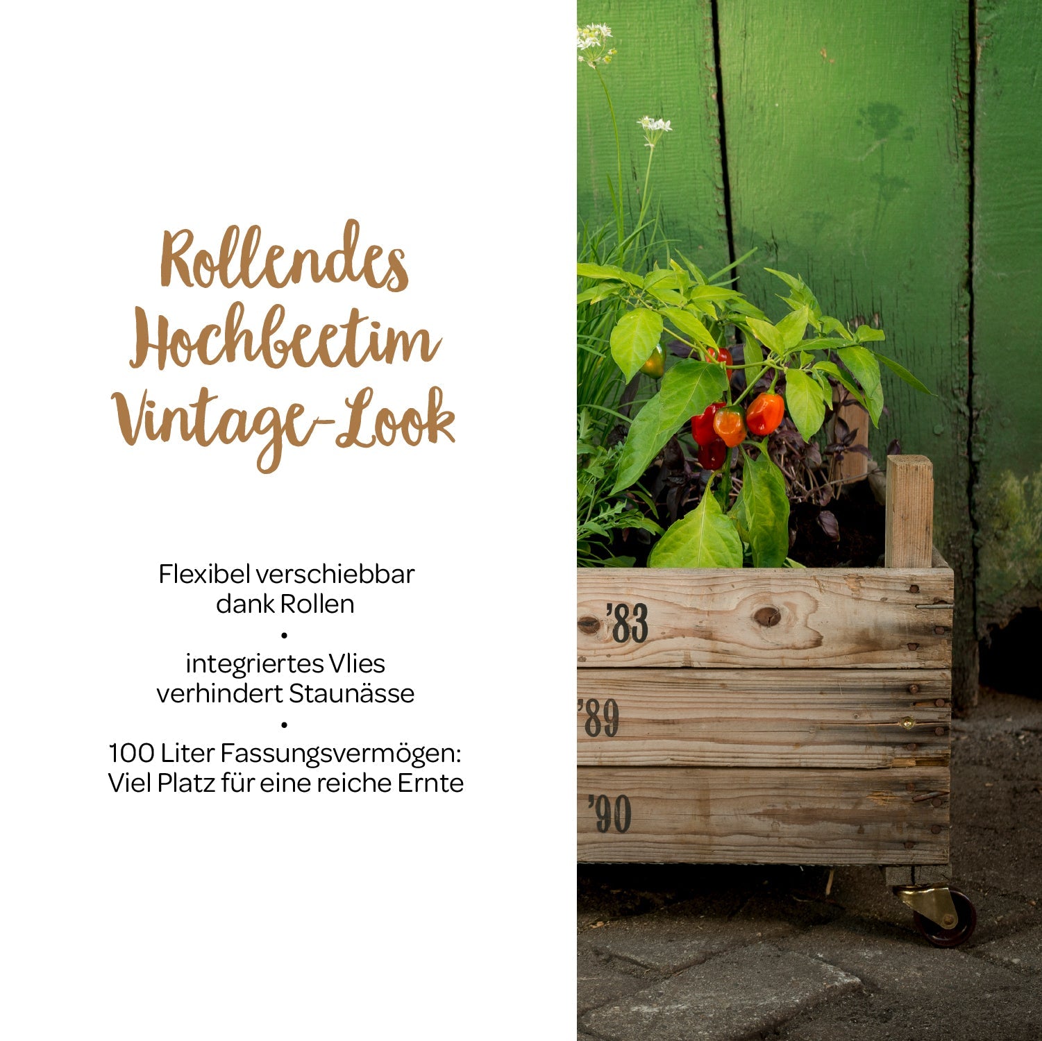 Rollendes Hochbeet aus Zwiebelsieben