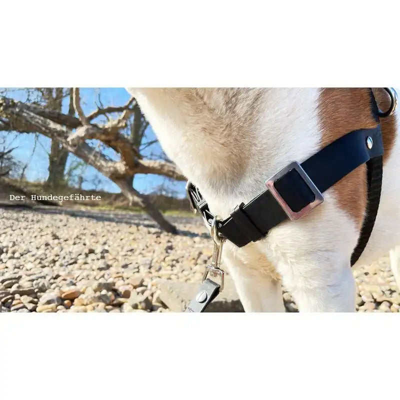 Anti-Stress-Geschirr STURMFREI®, Größe S für Kraftprotze by Der Hundegefährte