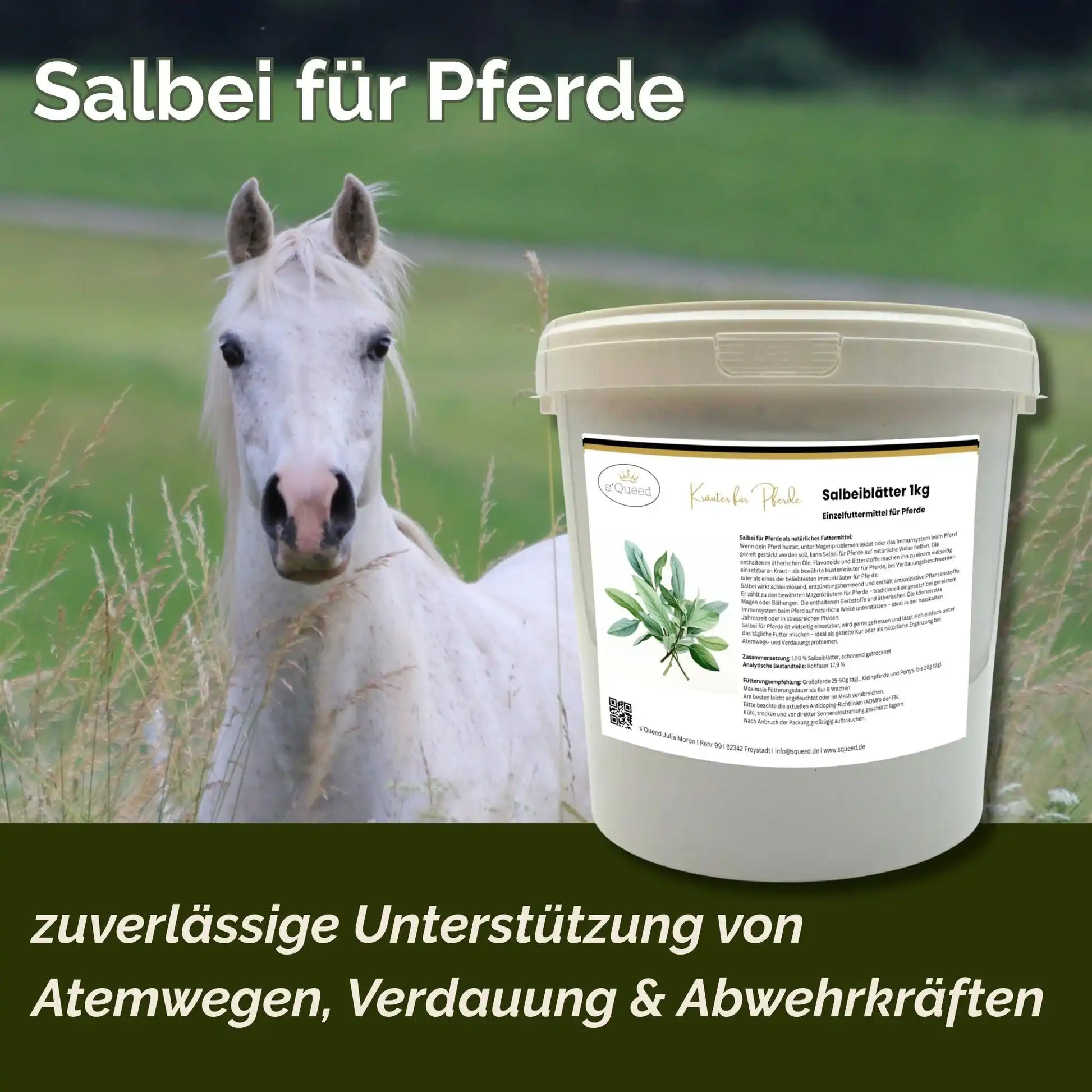 Salbei Für Pferde 1 Kg Pflanzliches Ergänzungsfutter Zur Unterstützung Von Atemwegen Verdauung Und Abwehrkräfte by s`Queed