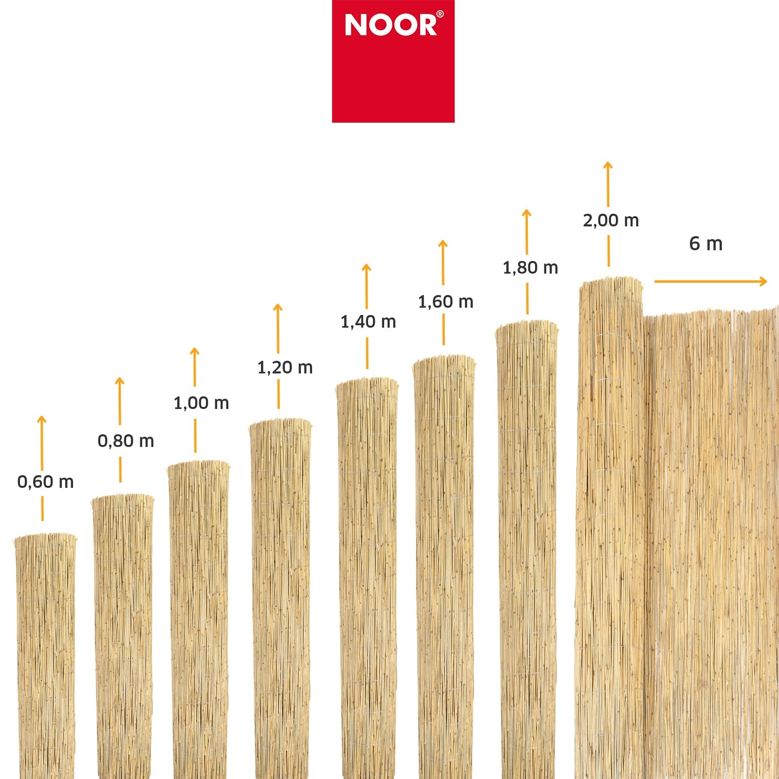 Schilfrohrmatte St. Tropez - Verschiedene Größen