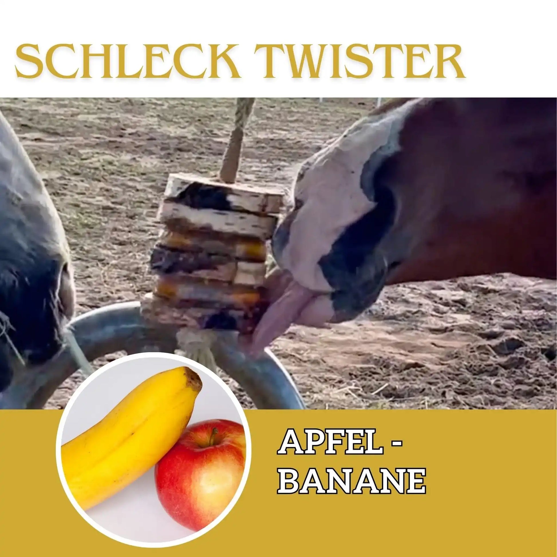 Schleck Twister Scheiben Für Pferdespielzeuge Langlebiges Beschäftigungsspiel Mit Knabber Twister Halterung by s`Queed