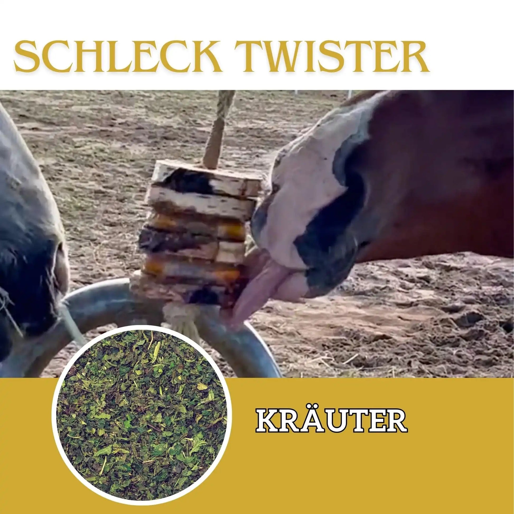 Schleck Twister Scheiben Für Pferdespielzeuge Langlebiges Beschäftigungsspiel Mit Knabber Twister Halterung by s`Queed