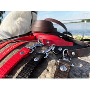 Schleppleine FERNWEH aus BioThane®/POP - Band by Der Hundegefährte