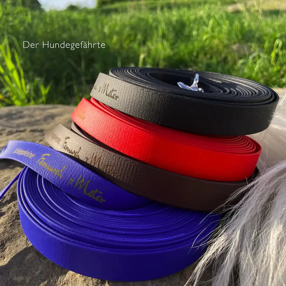 Schleppleine FERNWEH aus BioThane®/POP - Band by Der Hundegefährte