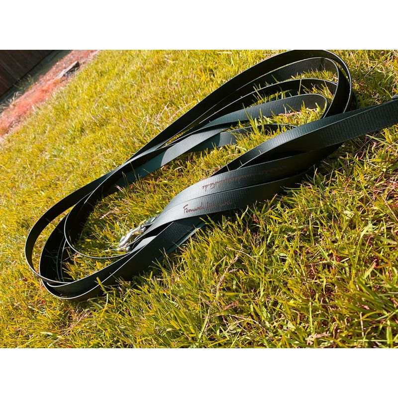 Doppel-Schleppleine FERNWEH aus BioThane®/POP - Band by Der Hundegefährte