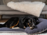 SABRO SCHMUSEHÖRNCHEN Alltid Hundekissen