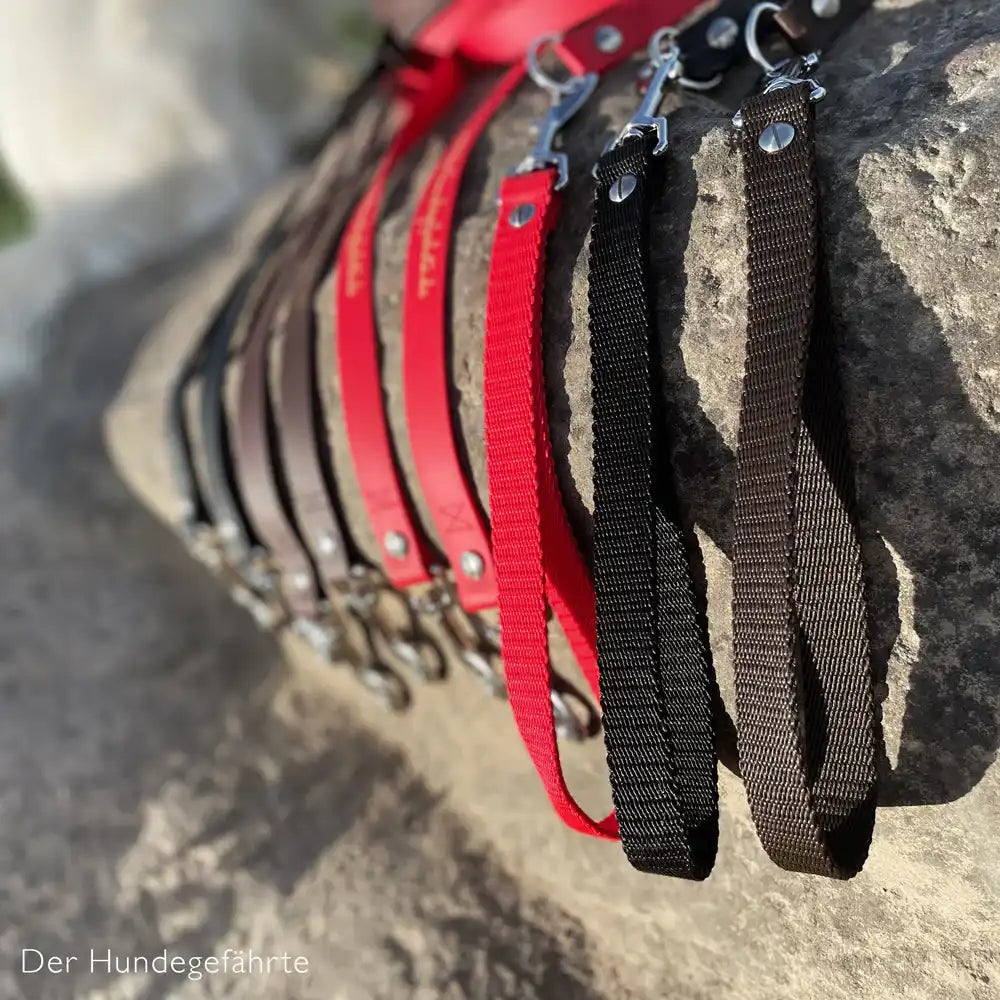 Doppel-Schleppleine FERNWEH aus BioThane®/POP - Band by Der Hundegefährte