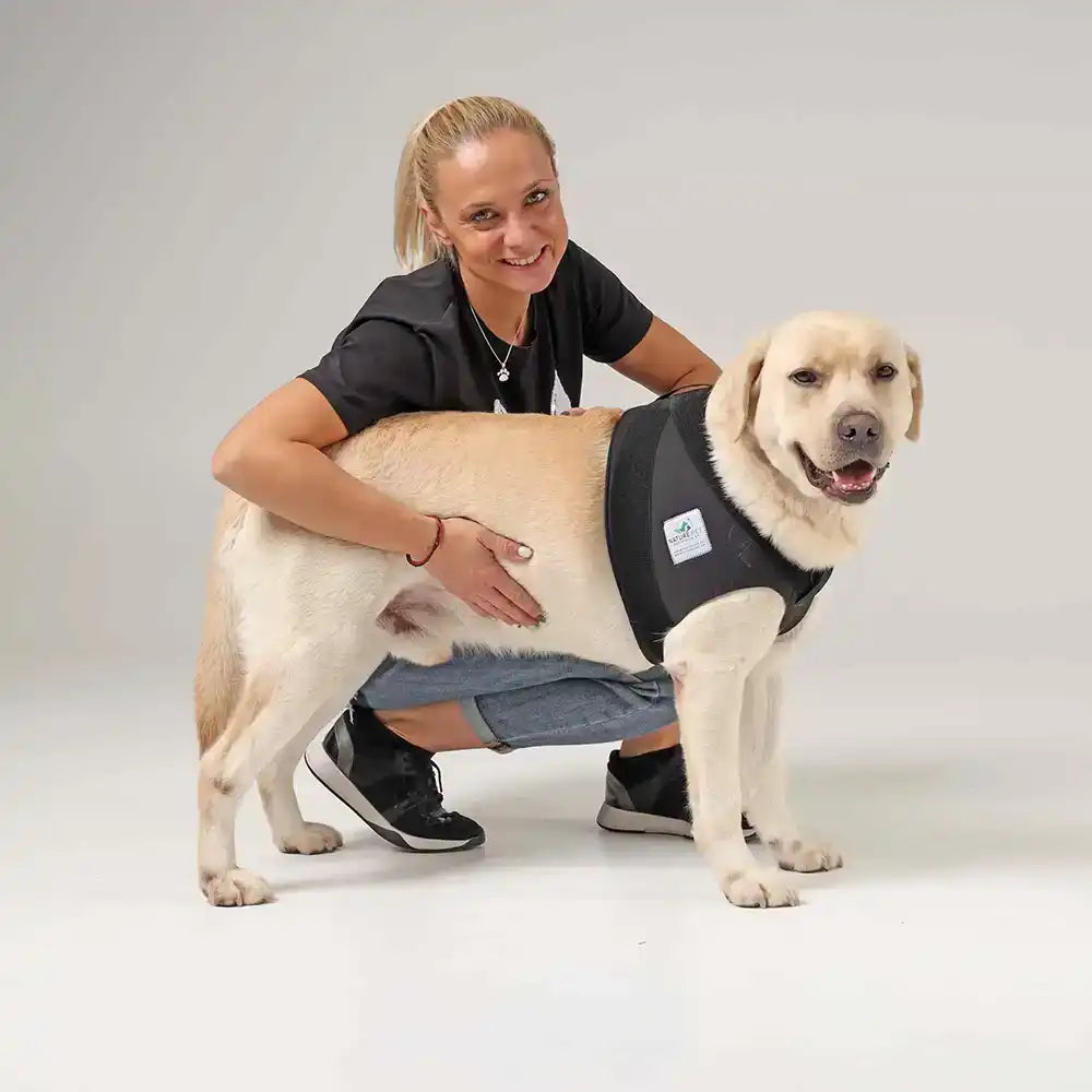 Schulter Abduktion Bandage für Hunde by Nature Pet