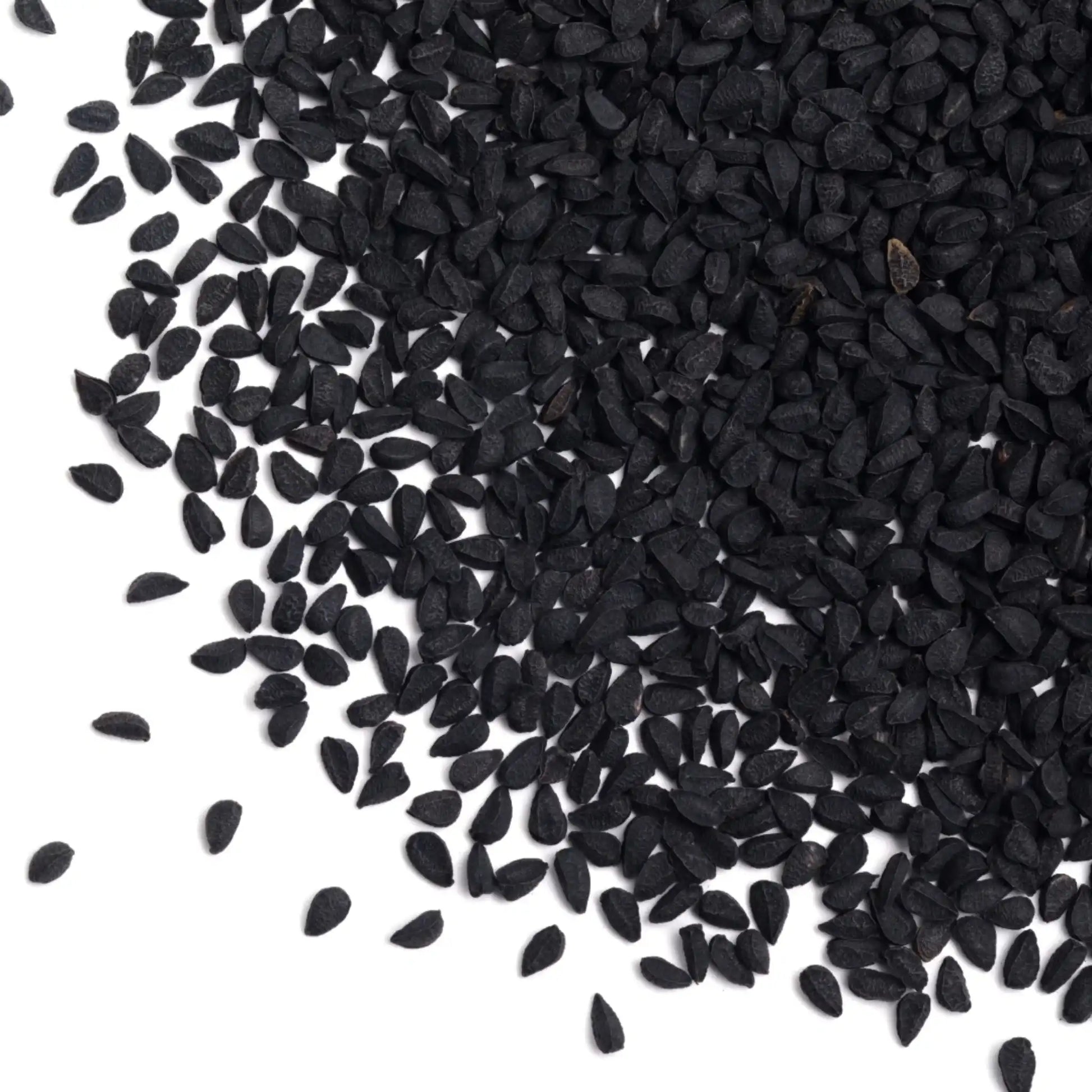 Schwarzkümmel Für Pferde 1 Kg Natürliches Einzelfuttermittel Für Atemwege Haut Und Abwehrkräfte by s`Queed