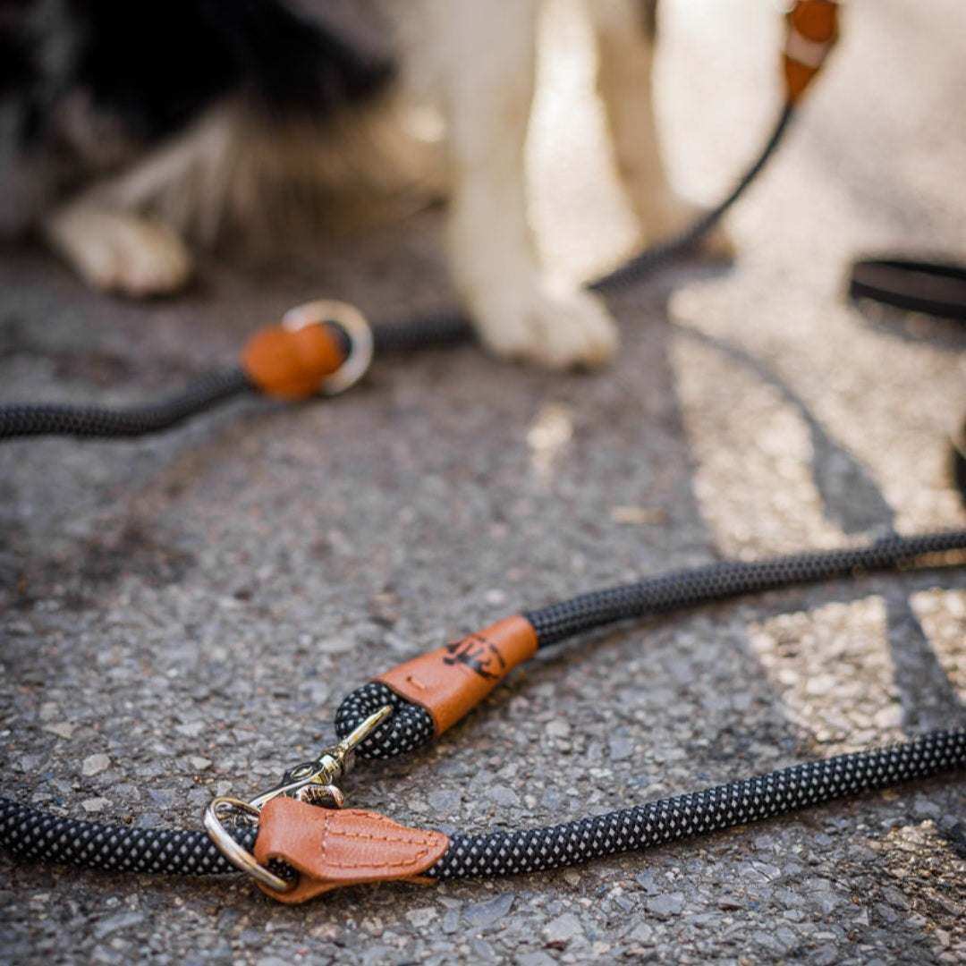 Reflektionsleine GLOW stark reflektierend längenverstellbar und vegan by Benny Burton