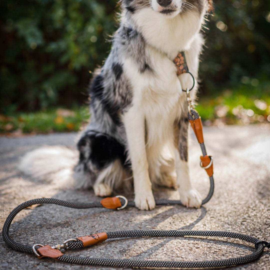 Reflektionsleine GLOW stark reflektierend längenverstellbar und vegan by Benny Burton