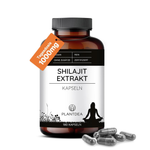 Shilajit Extrakt Kapseln