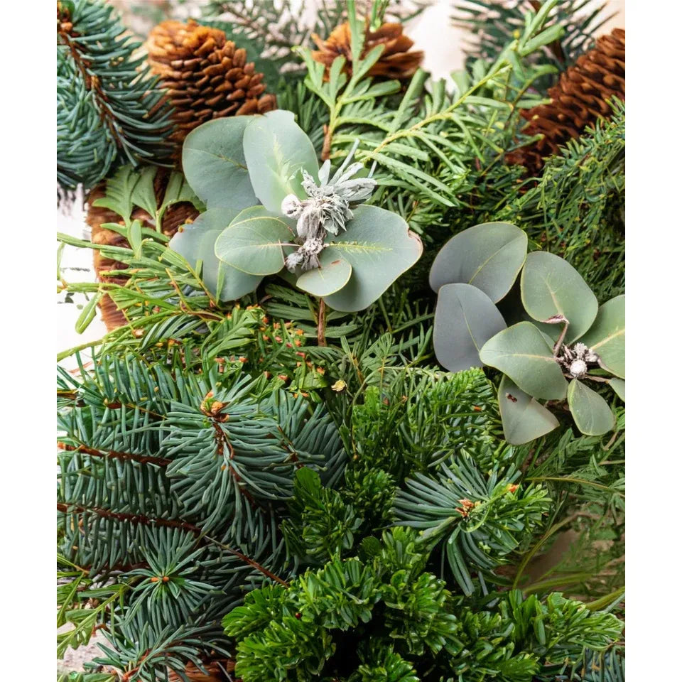 Bio ätherische Öl - „Shinrin Yoku“ – Waldduft für natürliche Entspannung