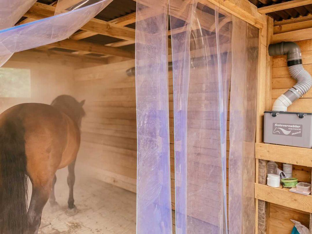 NEU: Sole Großraumvernebler Equosonic Mobile III 50ml/min Starter Paket