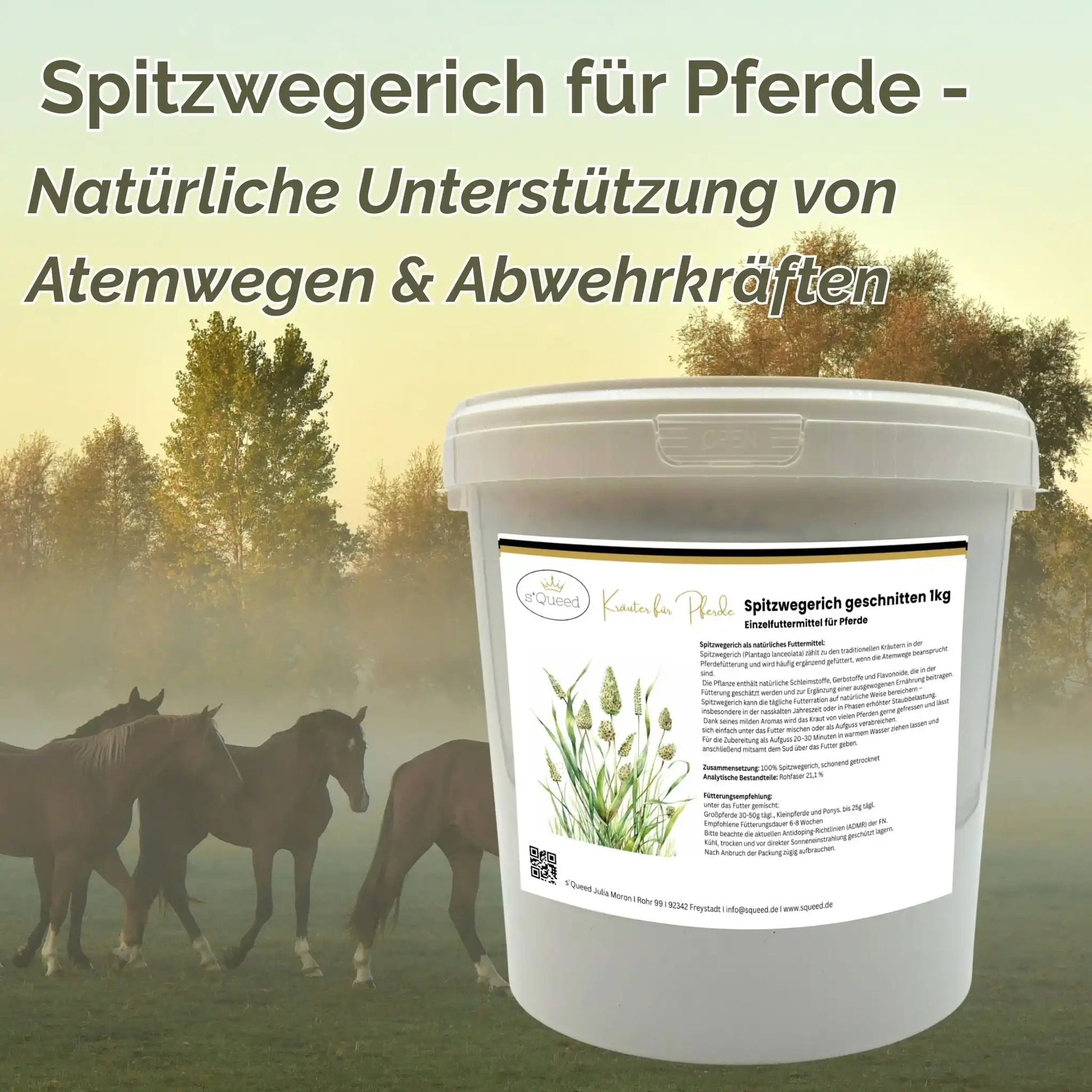 Spitzwegerich Für Pferde 1kg Natürliches Kräuterfutter Zur Unterstützung Der Atemwege Bei Beanspruchung by s`Queed