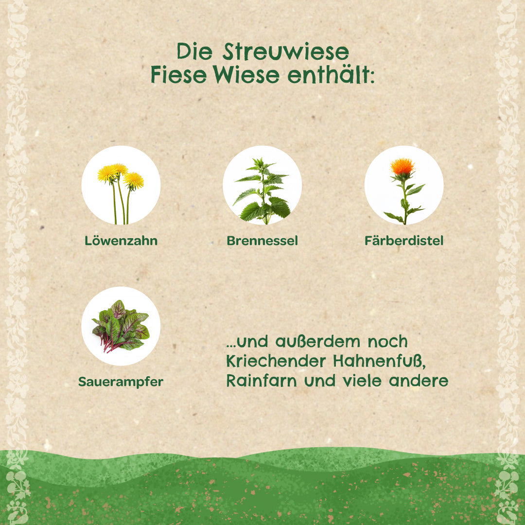 Streuwiese "Fiese Wiese"