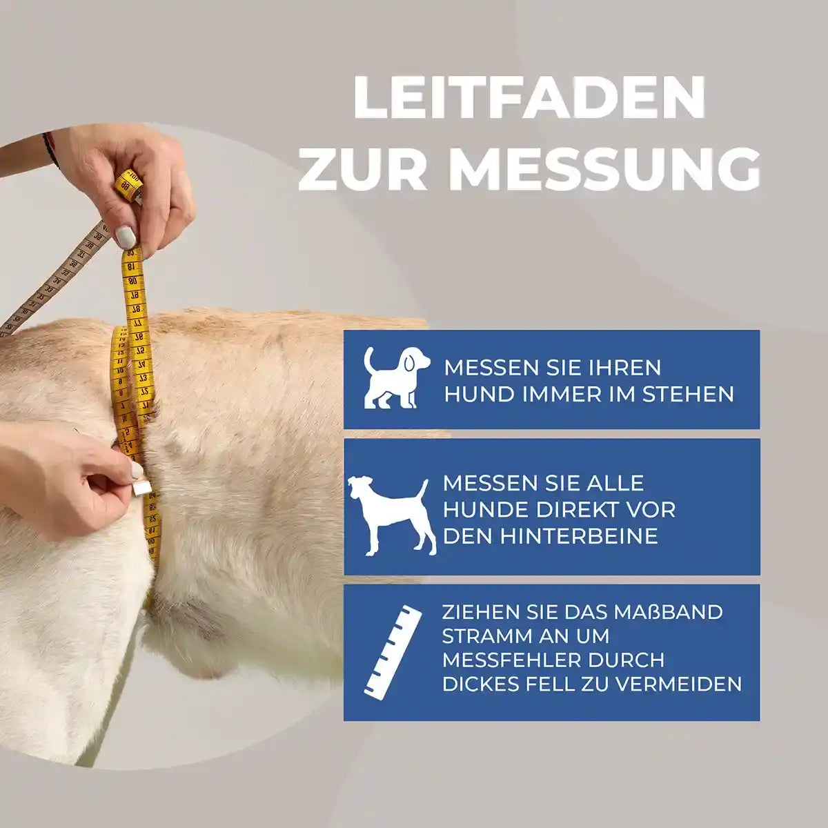 Hunde Tragehilfe hinten by Nature Pet