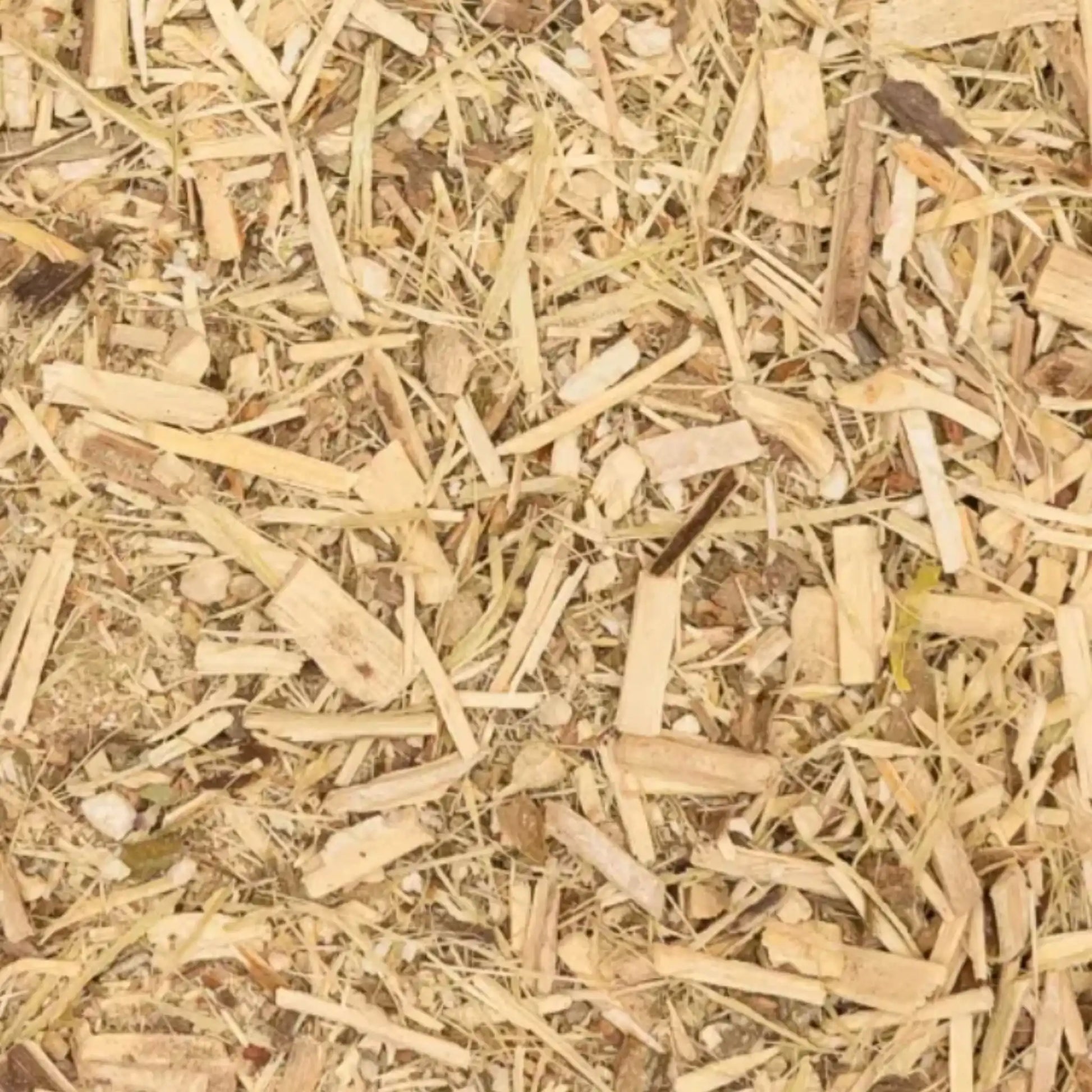 Taigawurzel Pferde Immunsystem Stärken Natürliche Vitalität Unterstützung In Stressphasen Und Infektanfälligkeit by s`Queed