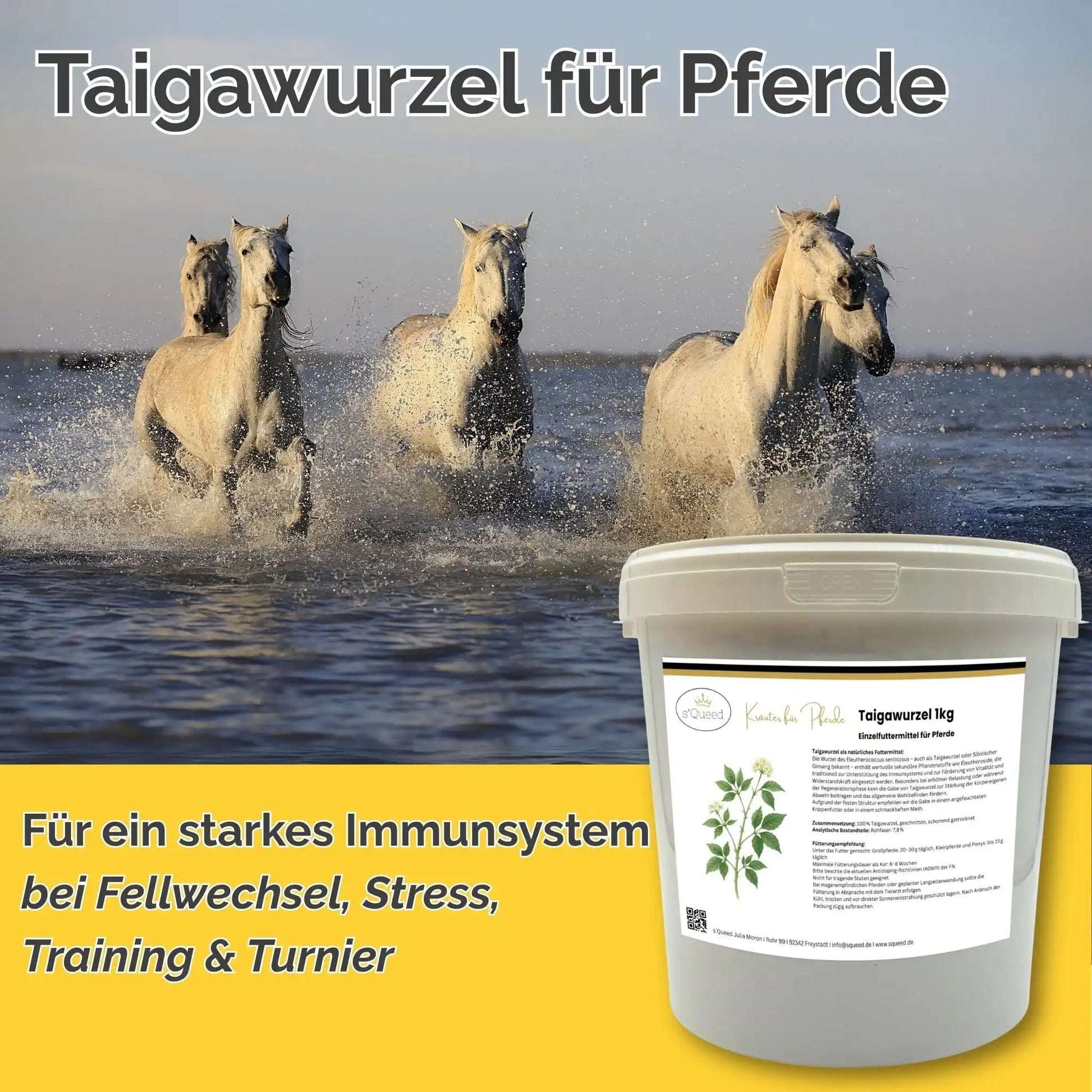 Taigawurzel Pferde Immunsystem Stärken Natürliche Vitalität Unterstützung In Stressphasen Und Infektanfälligkeit by s`Queed