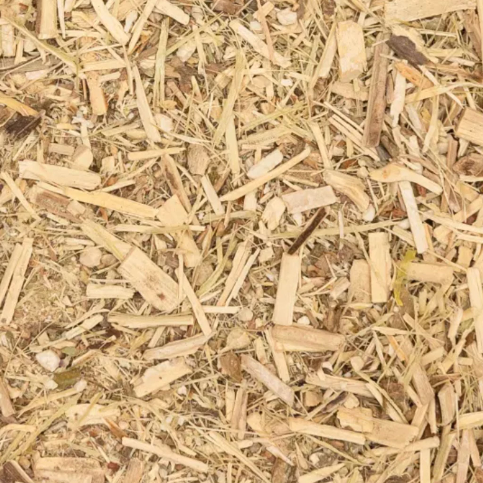 Taigawurzel Pferde Immunsystem Stärken Natürliche Vitalität Unterstützung In Stressphasen Und Infektanfälligkeit