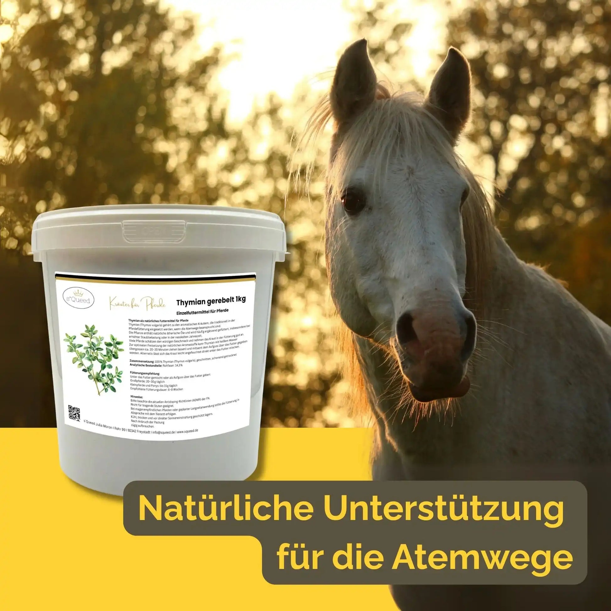 Thymian Für Pferde 1Kg Pflanzlicher Schleimlöser Für Die Atemwege Einzelfuttermittel Aromatisches Kraut by s`Queed