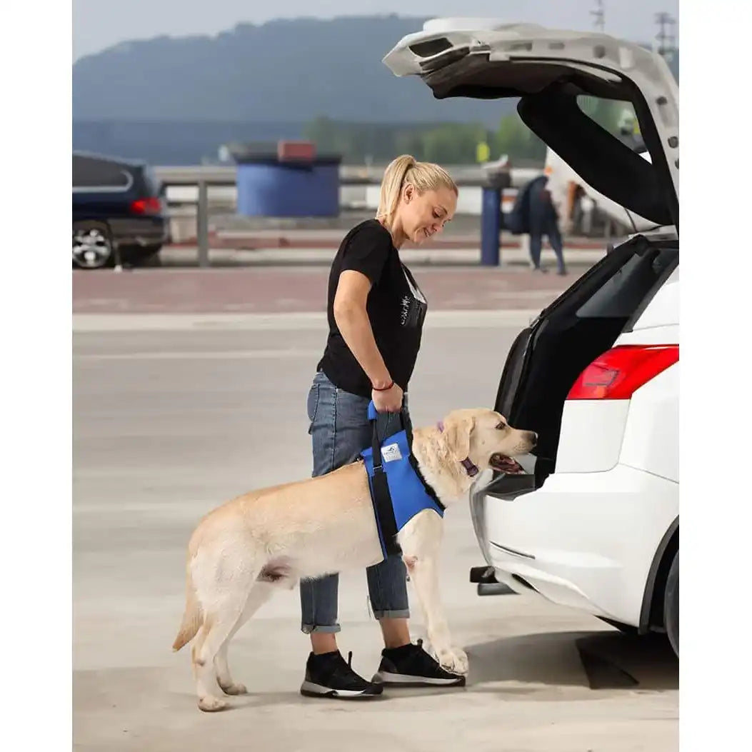 Vordere Tragehilfe für Hunde by Nature Pet