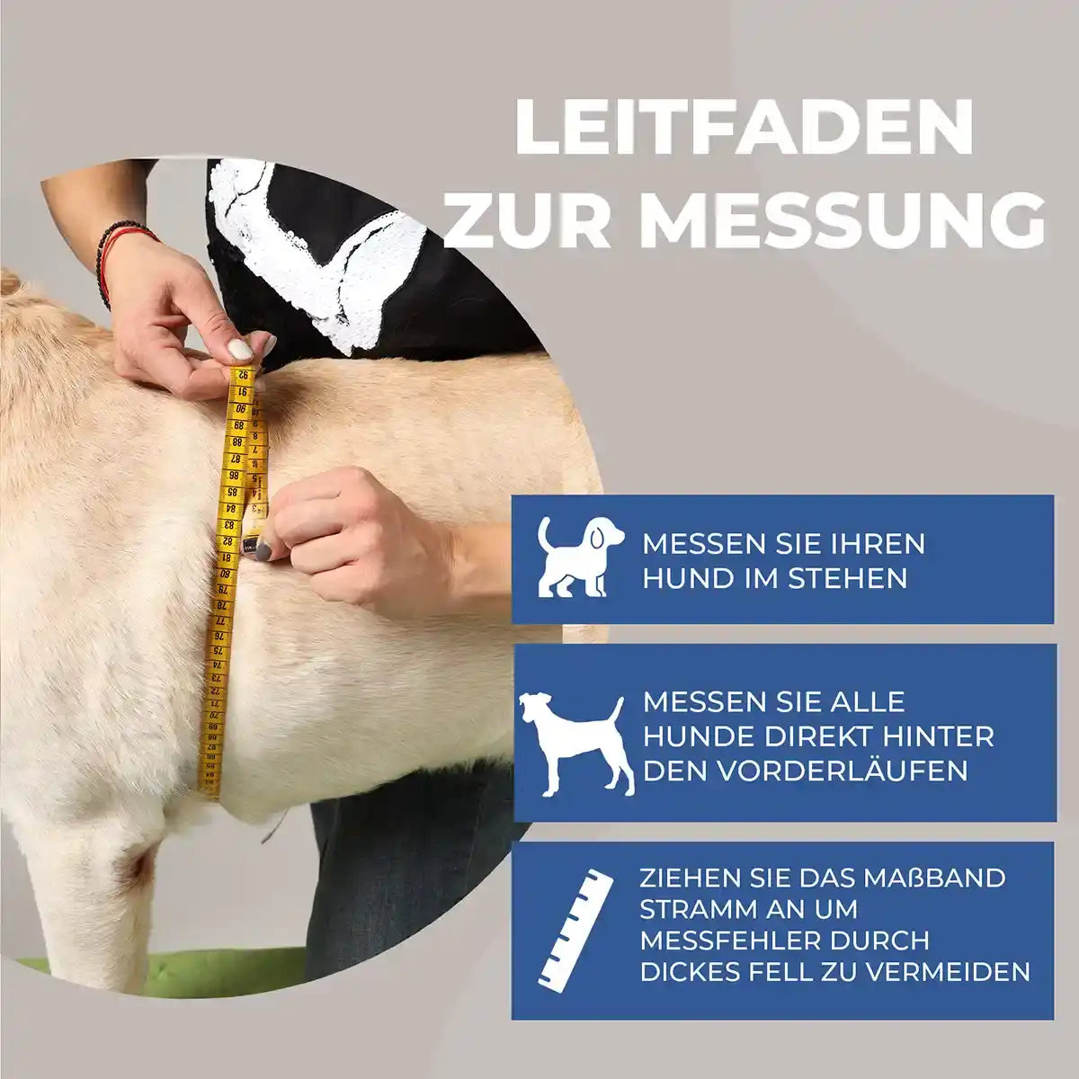 Schulter Abduktion Bandage für Hunde by Nature Pet