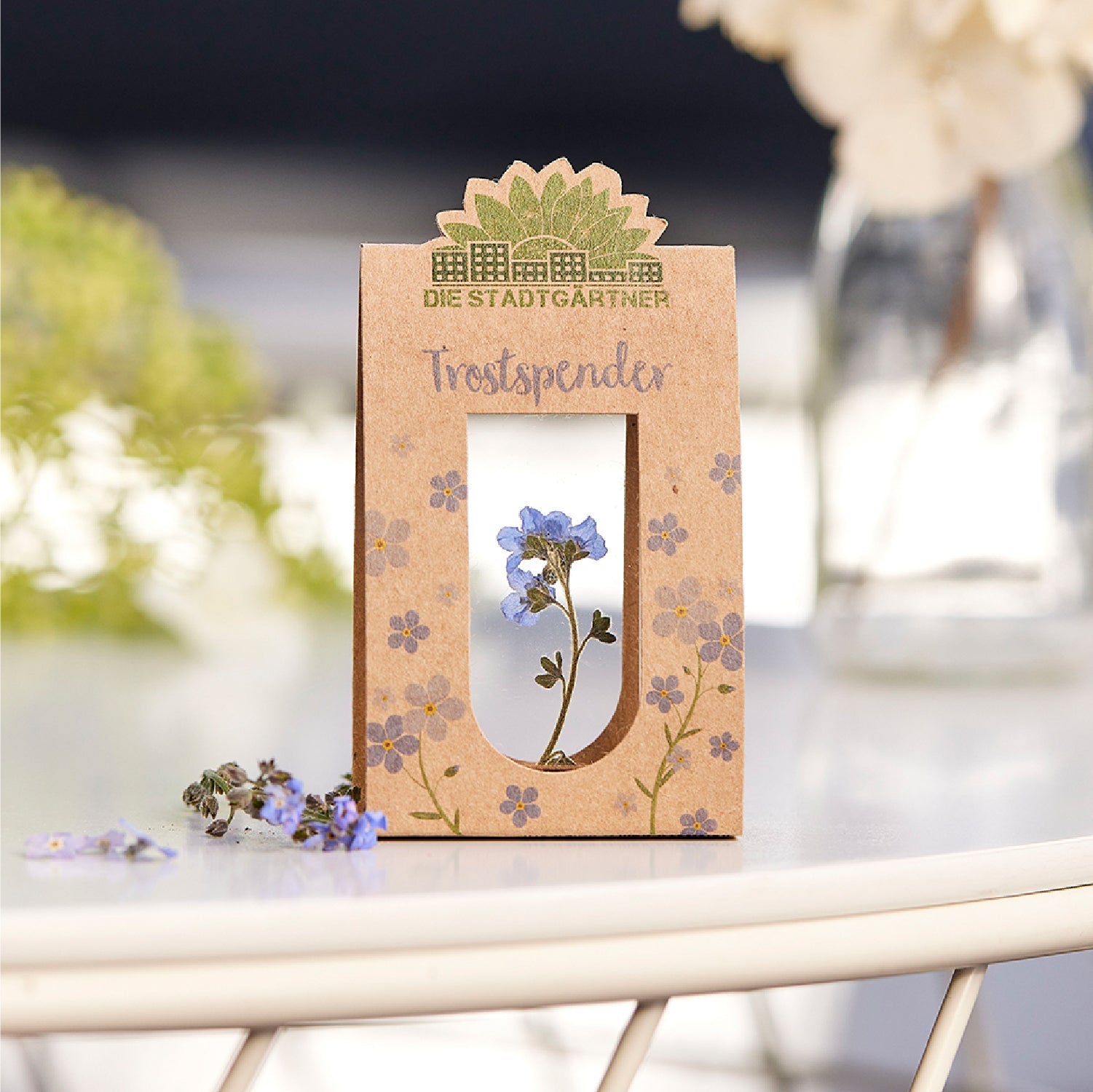 Trostspender – Echtes Vergissmeinnicht
