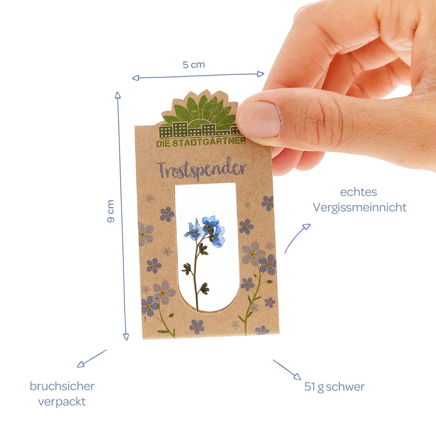 Trostspender – Echtes Vergissmeinnicht