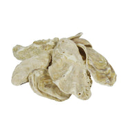 Austernschalen 5 kg natürliche Aufhärtung