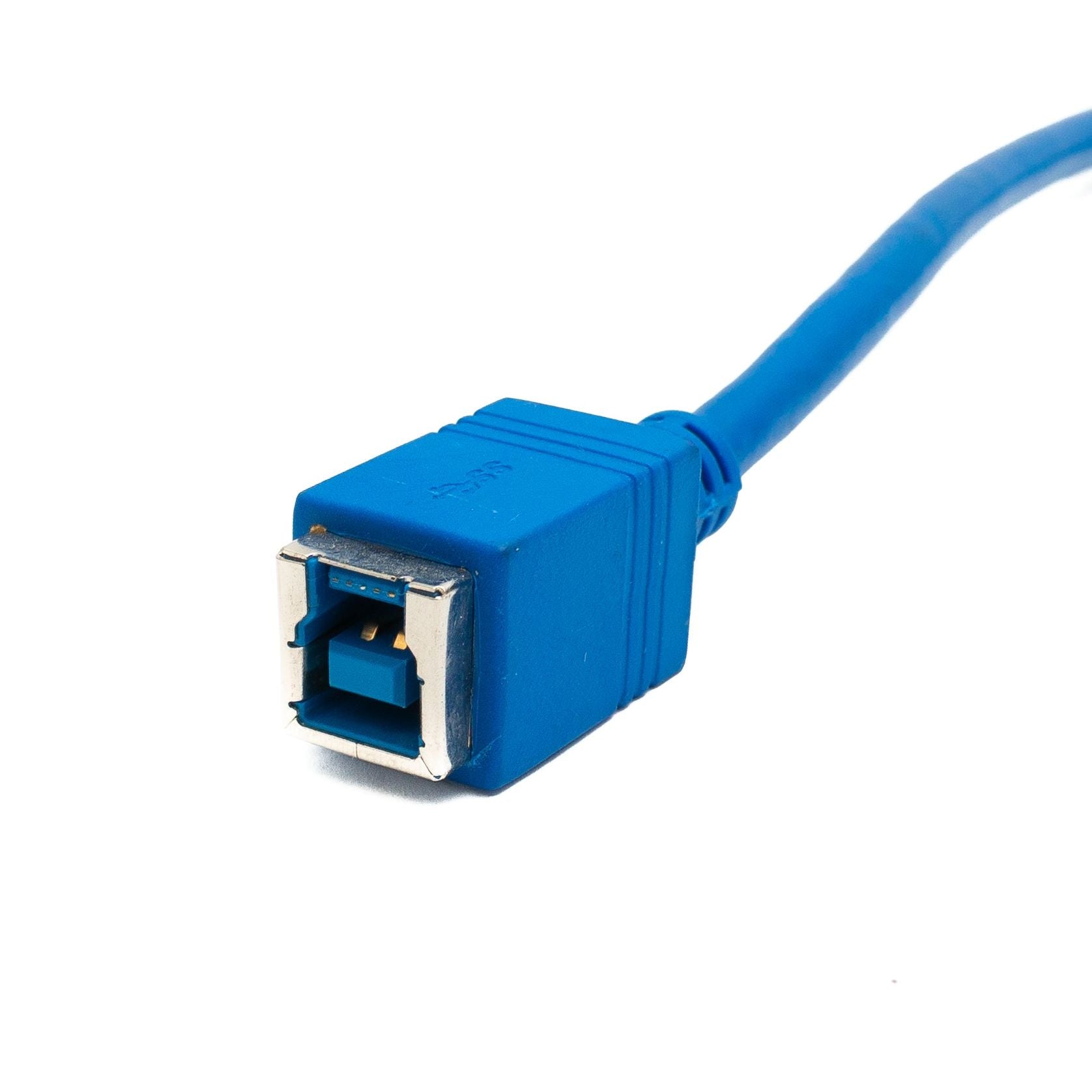USB 3.0 Kabel Typ B Buchse zu Micro B Stecker Linker Winkel Blau 34 cm SuperSpeed