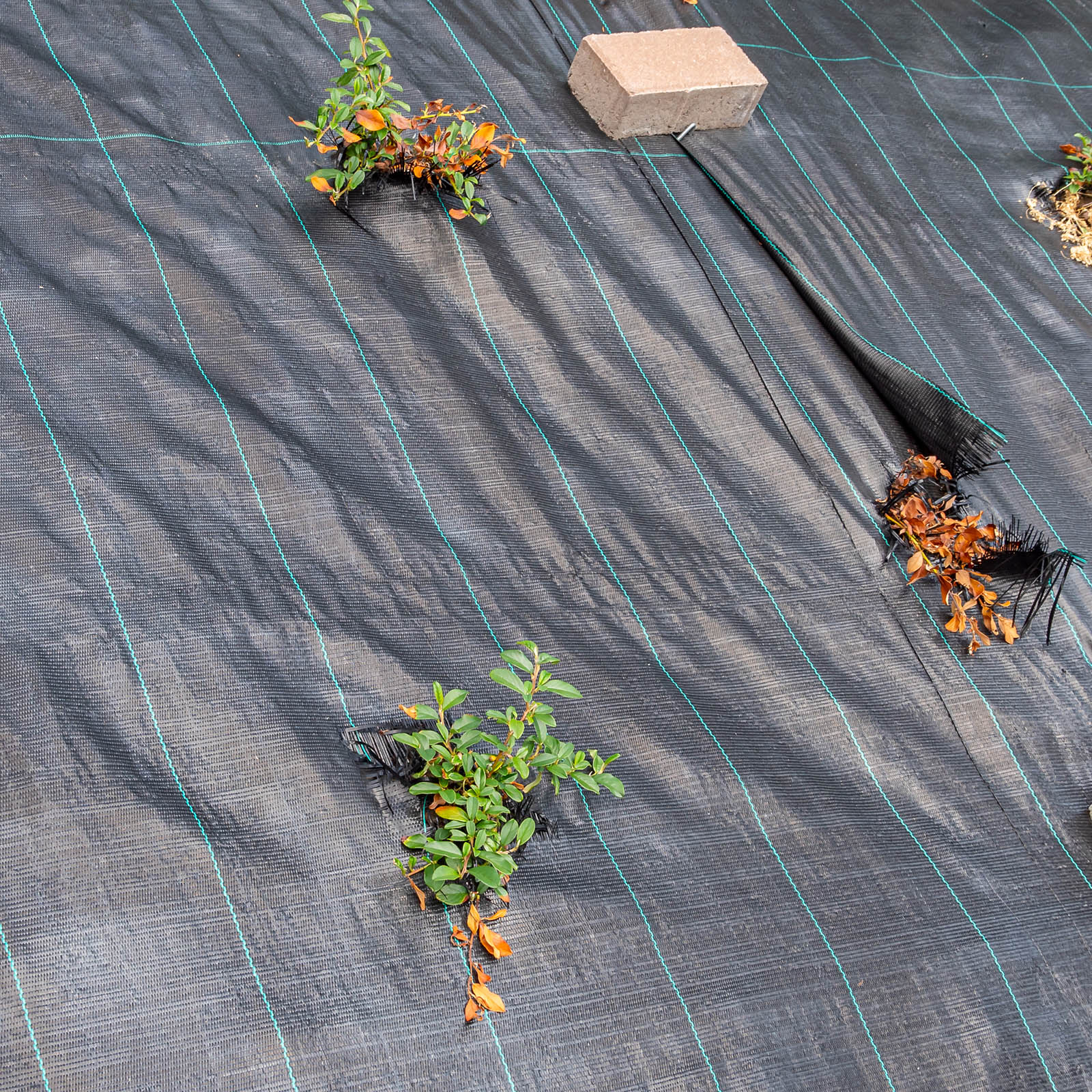 Unkrautblocker PP 130 g/m² – 1x100 m