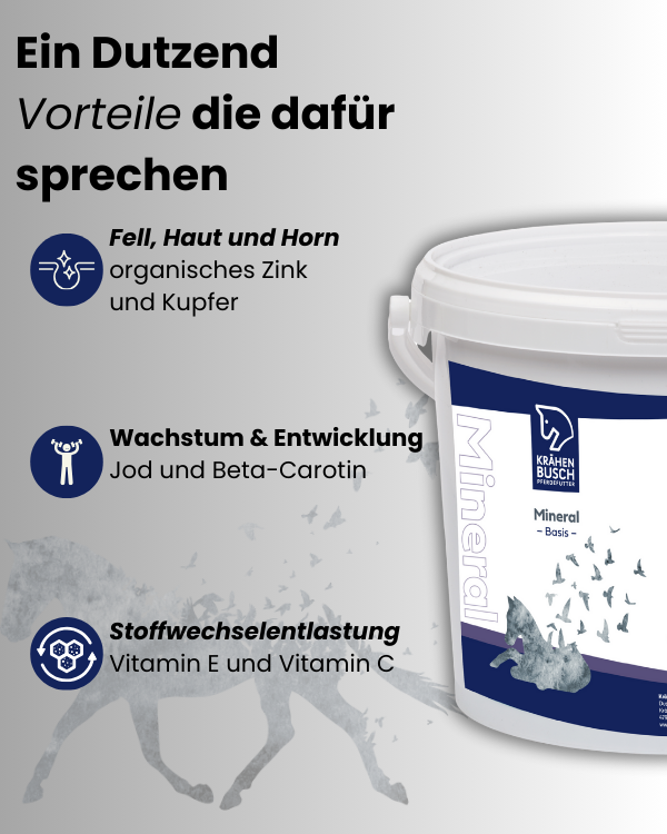Krähenbusch Mineral Basis Erhaltungsbedarf Und Ergänzung Der Heufütterung Ohne Selen
