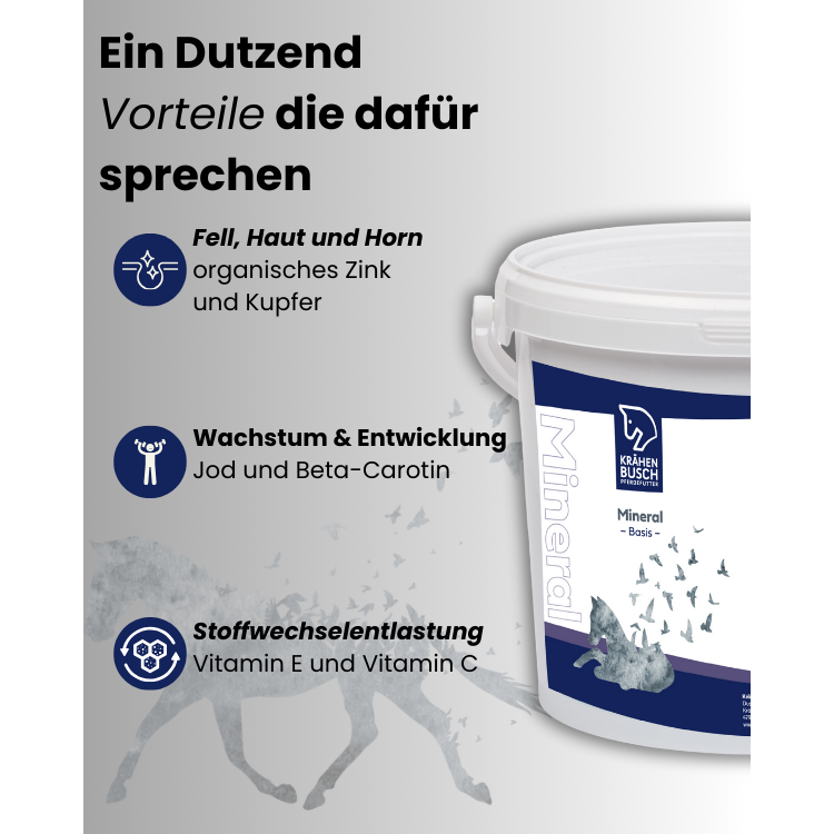 Krähenbusch Mineral Basis für Pferde – Selenfrei & Getreidefrei – Erhaltungsbedarf